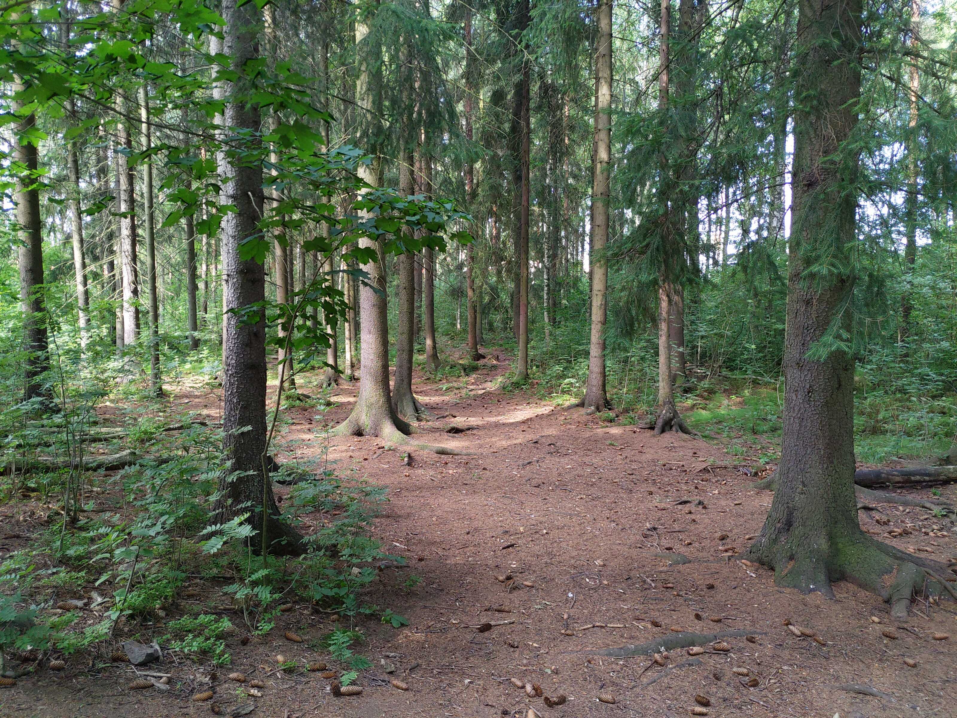 Kuva kohteesta v. 2021