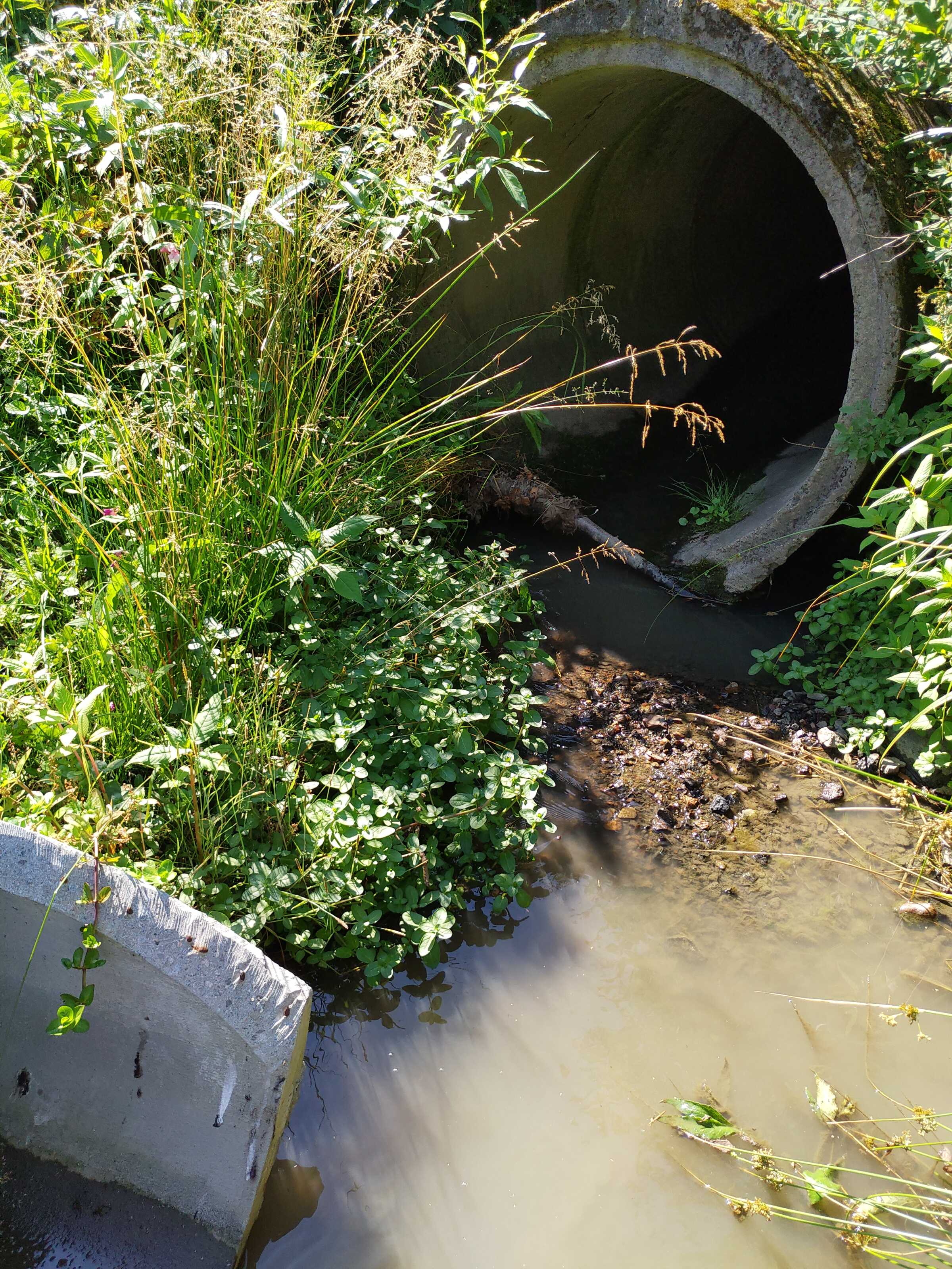 Kuva kohteesta v. 2021