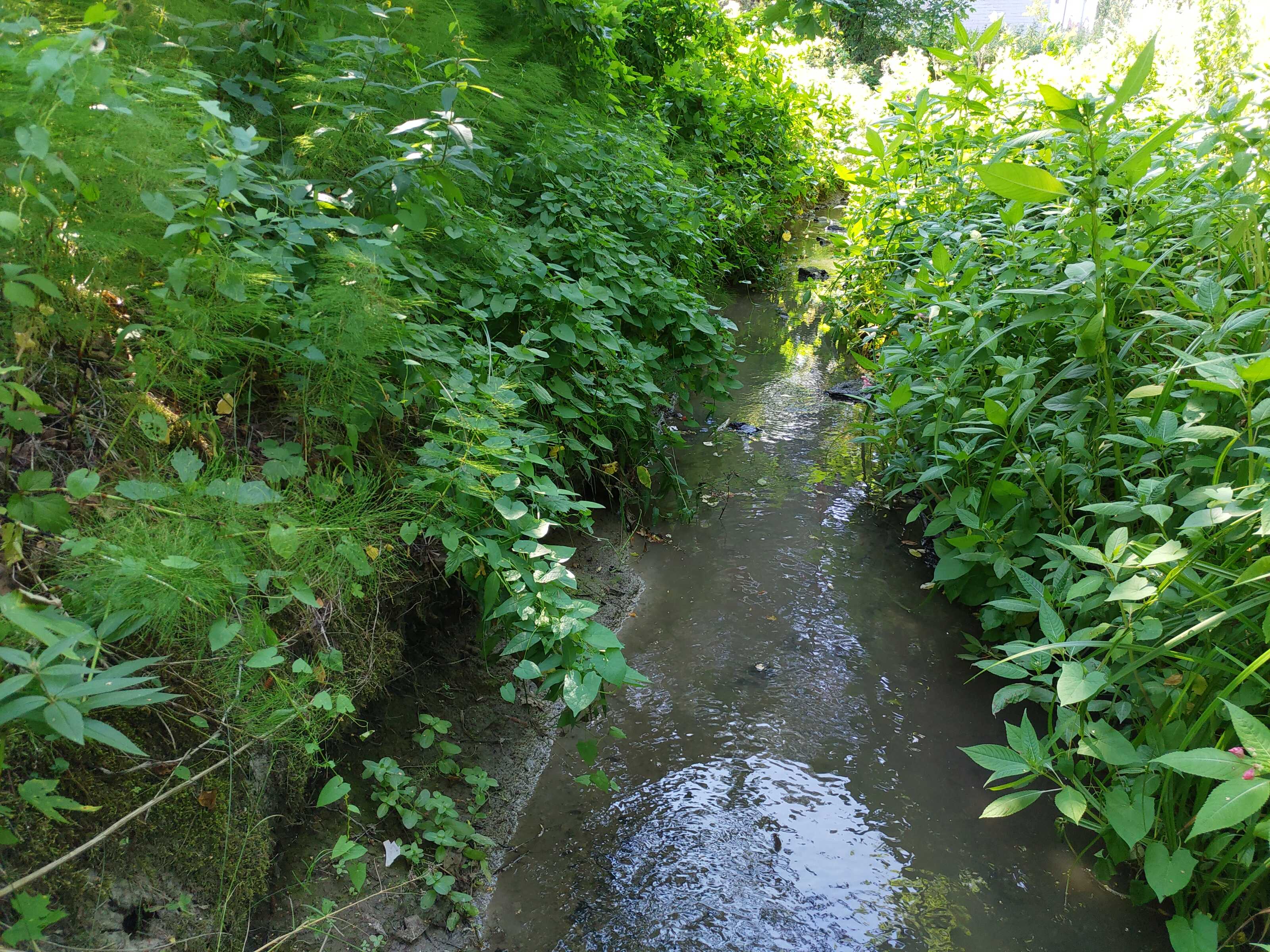 Kuva kohteesta v. 2021