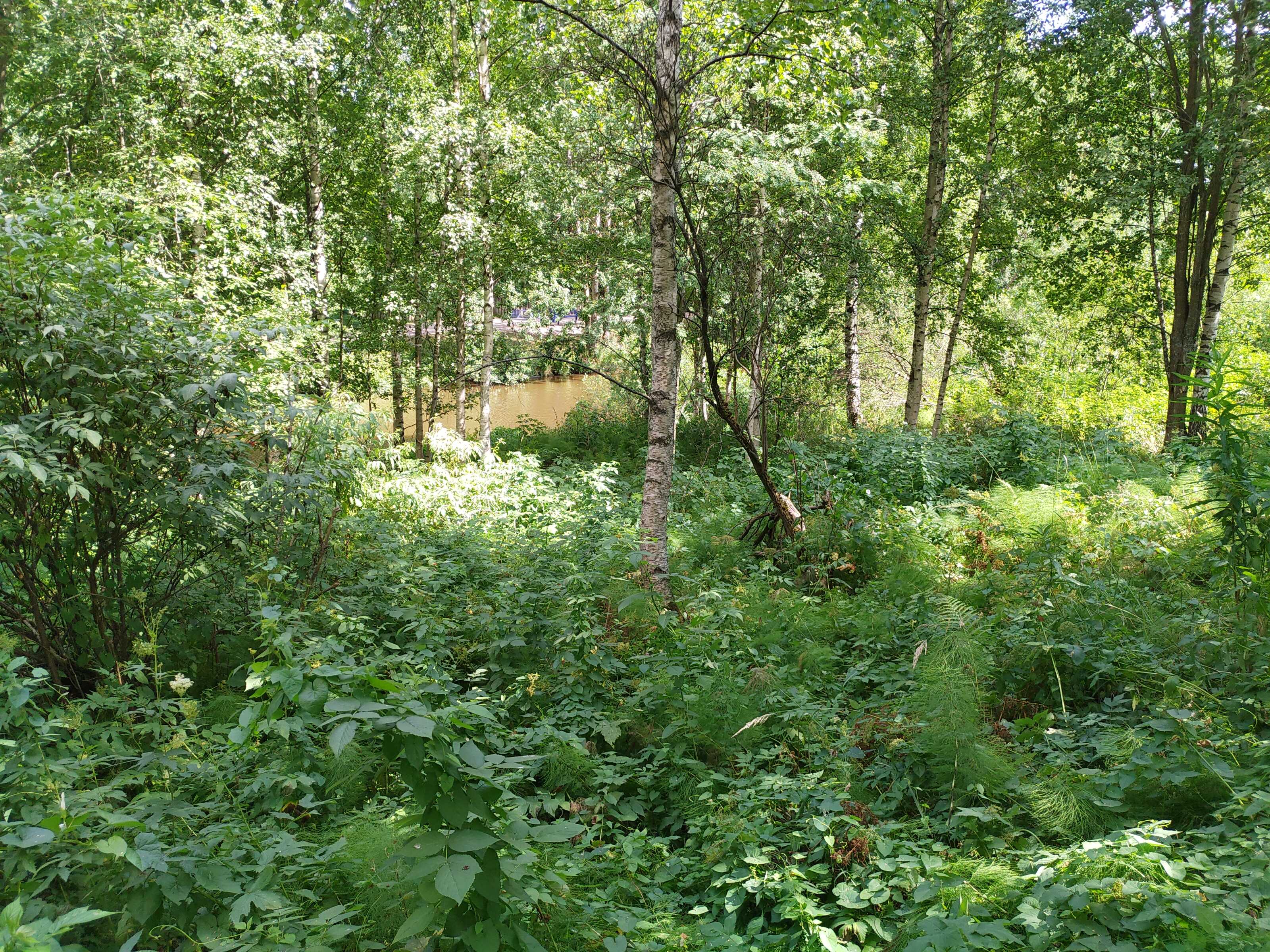 Kuva kohteesta v. 2021