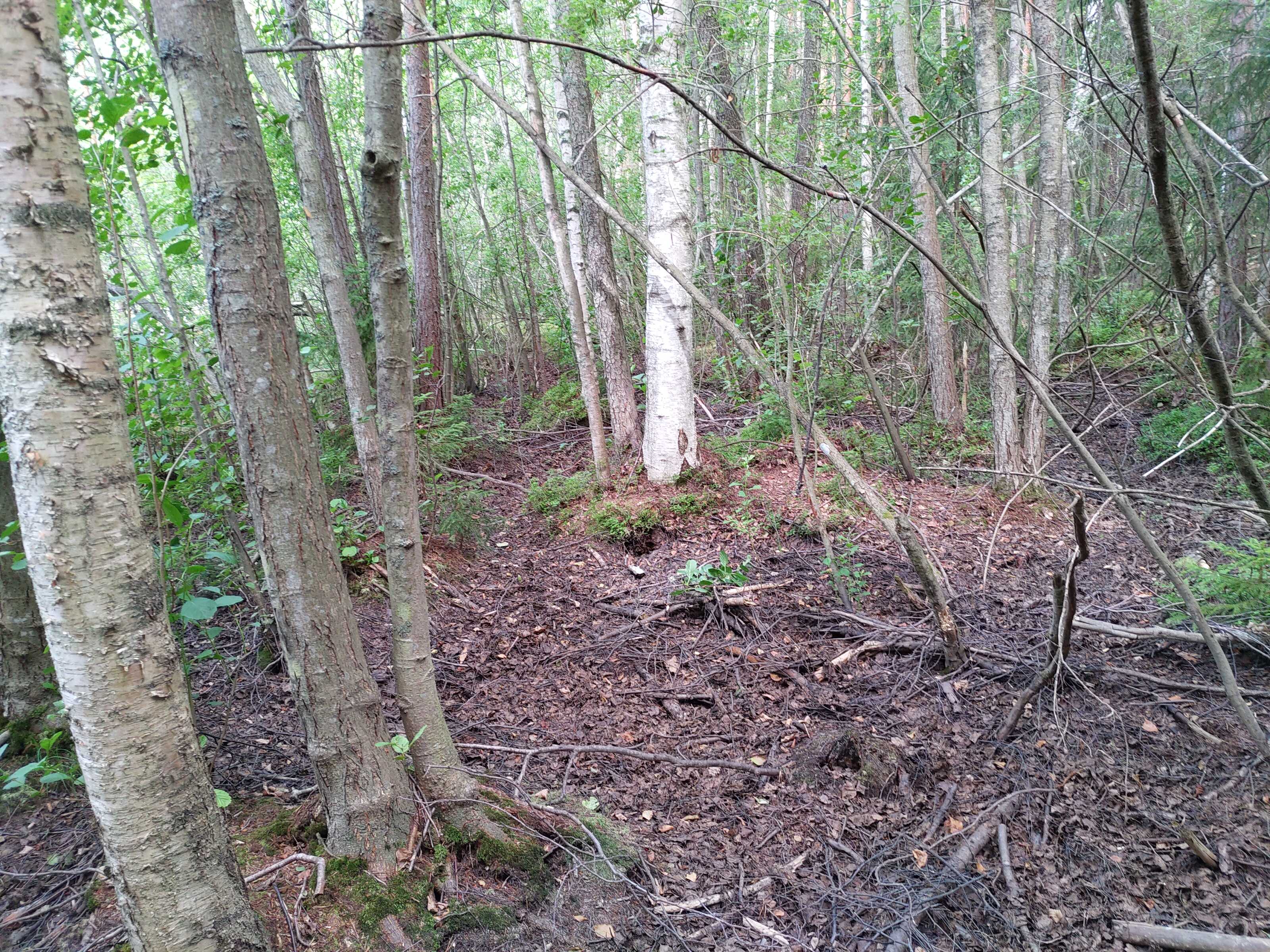 Kuva kohteesta v. 2021