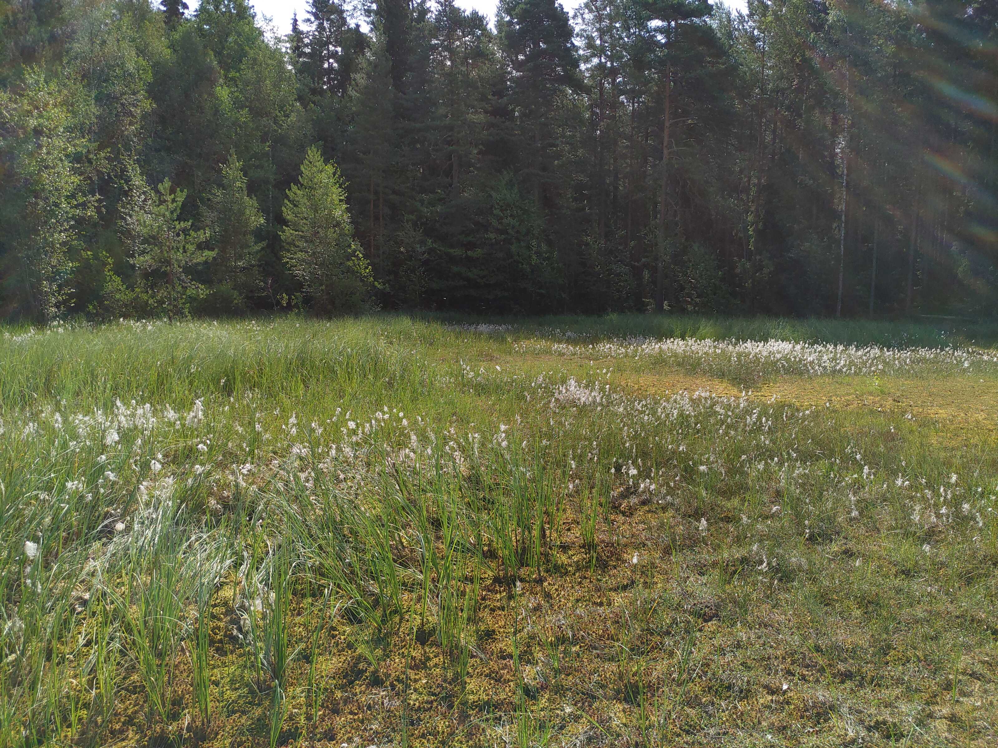 Kuva kohteesta v. 2021