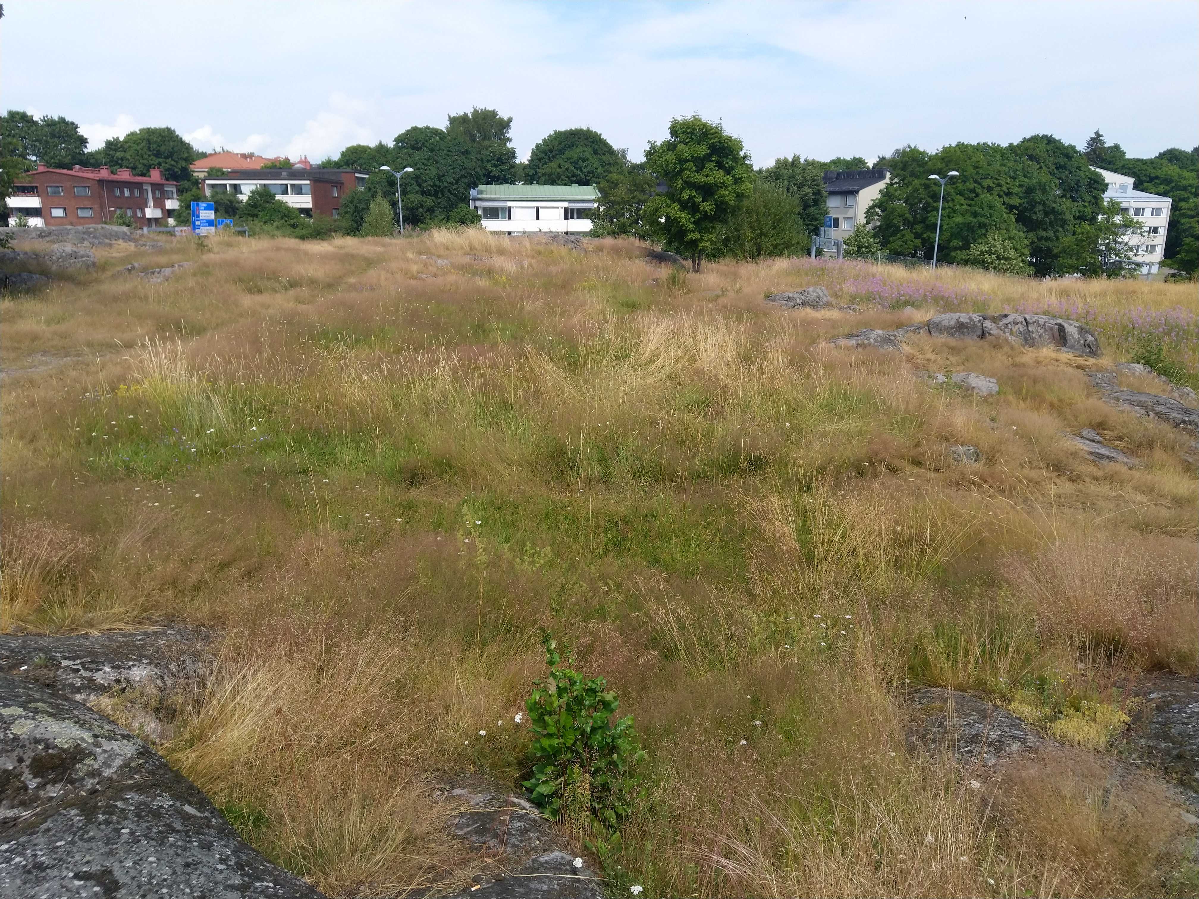 Kuva kohteesta v. 2021