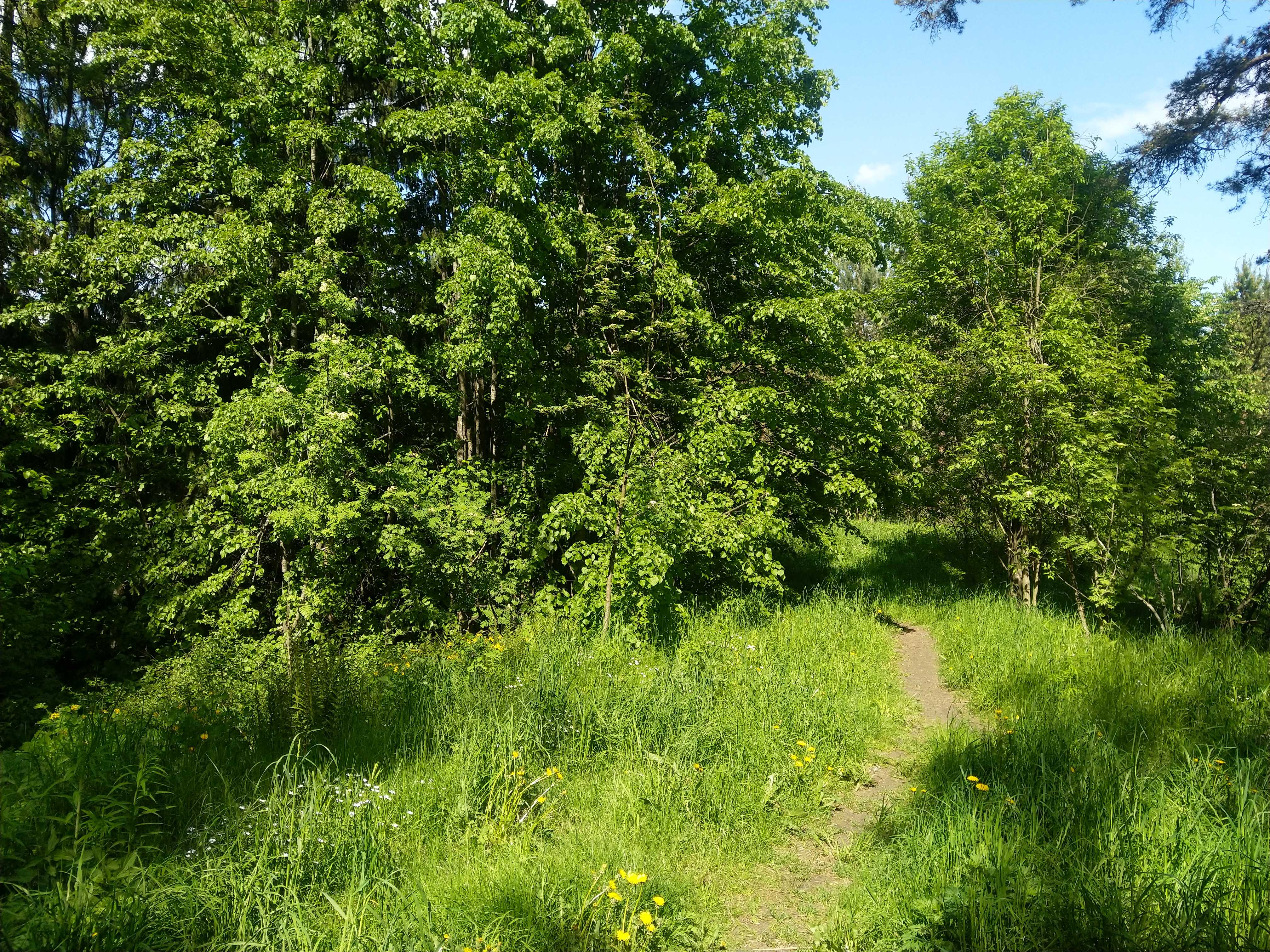 Kuva kohteesta v. 2021