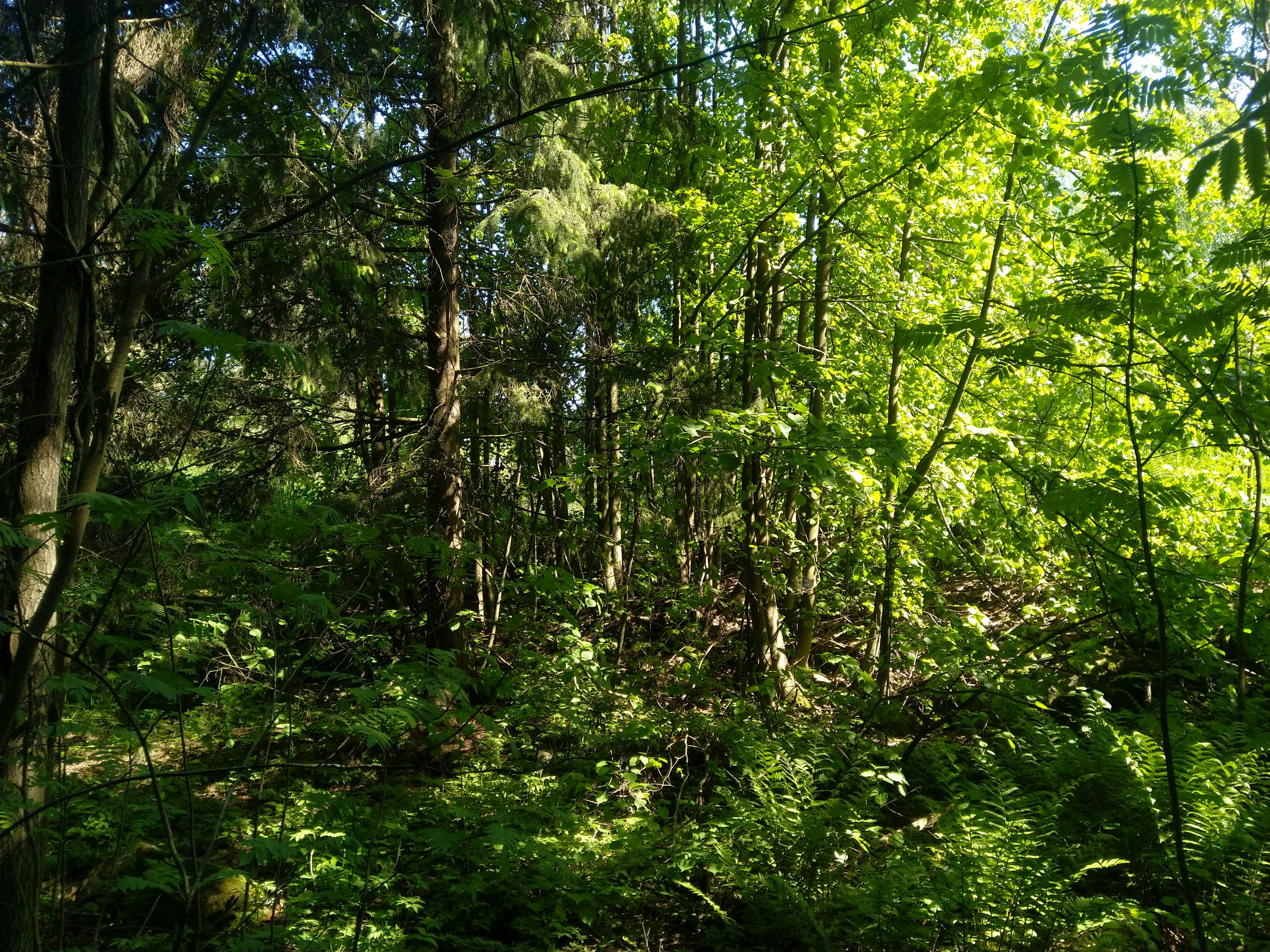 Kuva kohteesta v. 2021