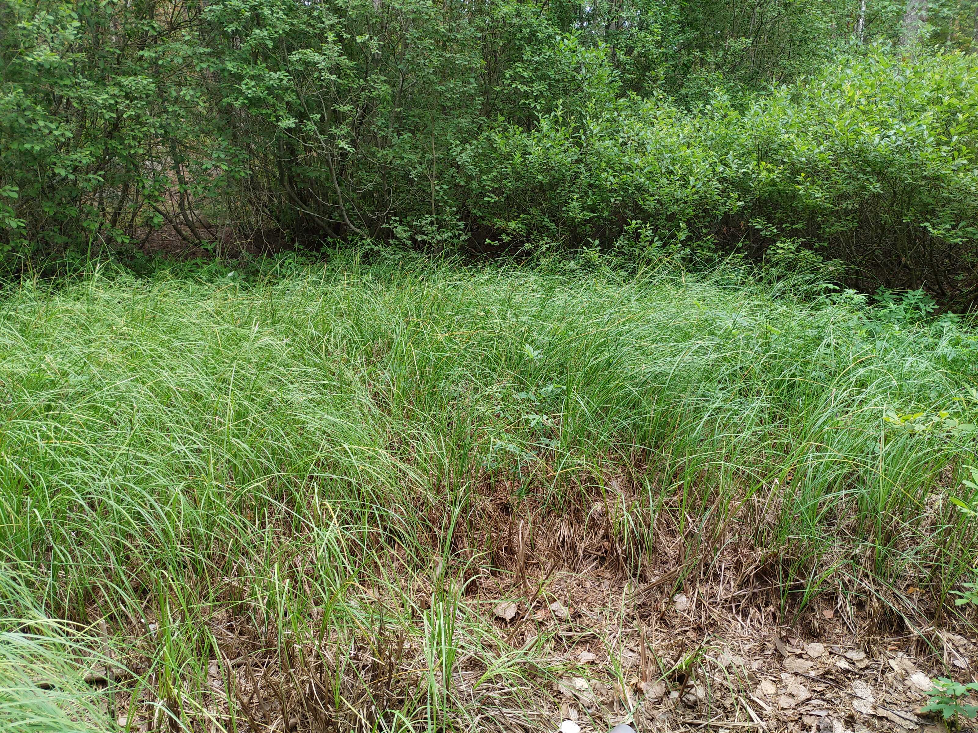 Kuva kohteesta v. 2021