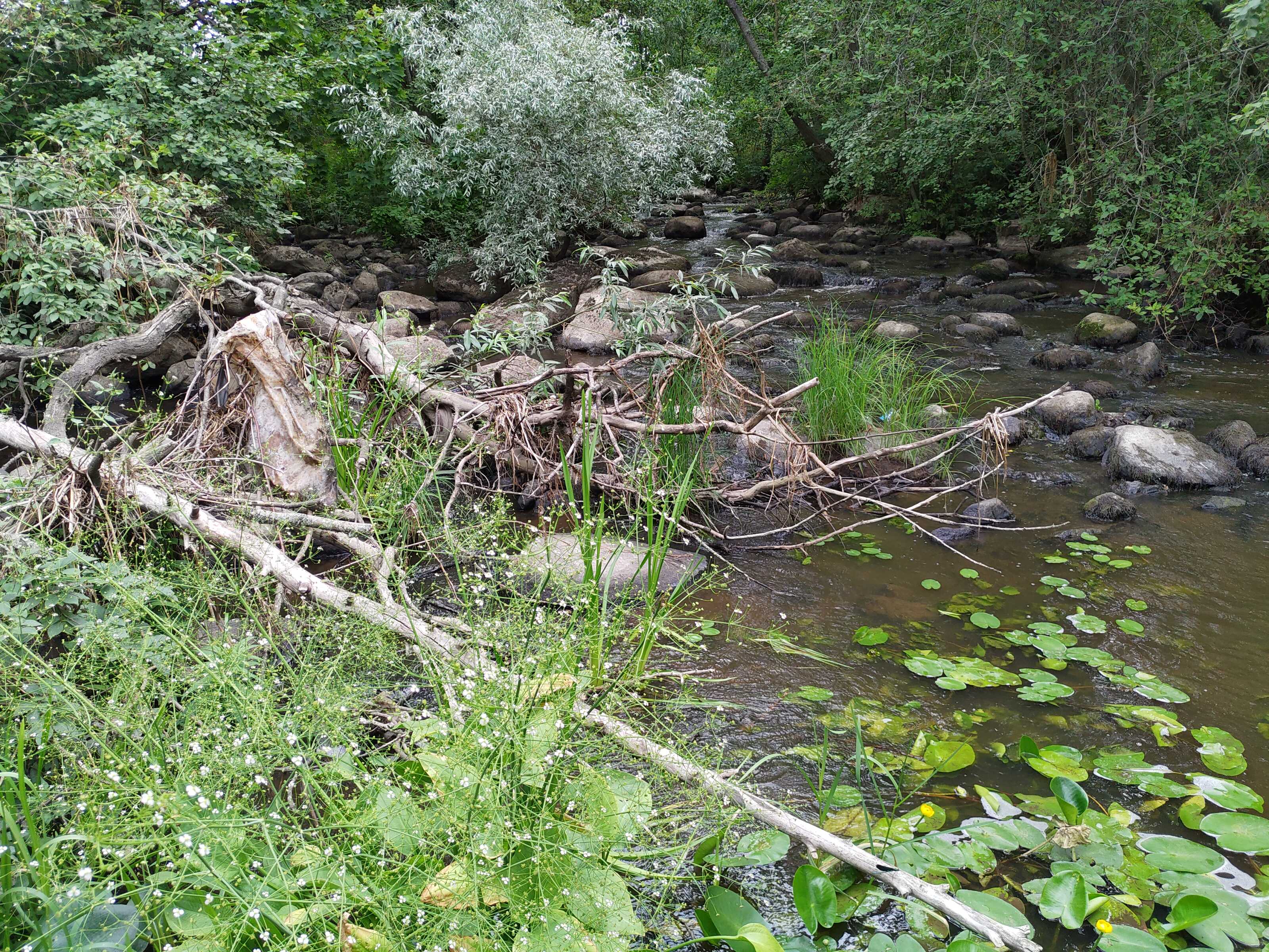 Kuva kohteesta v. 2021