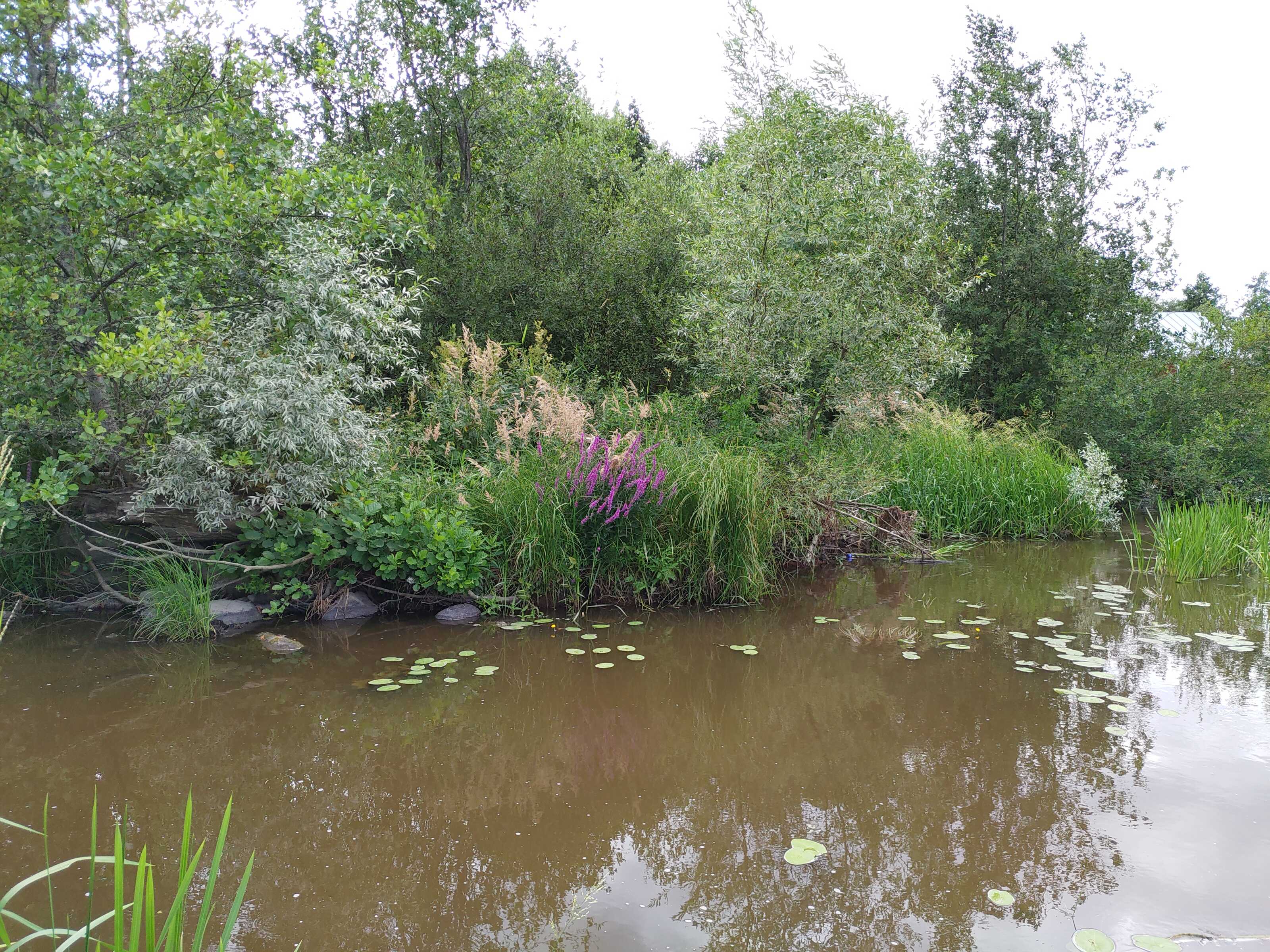 Kuva kohteesta v. 2021