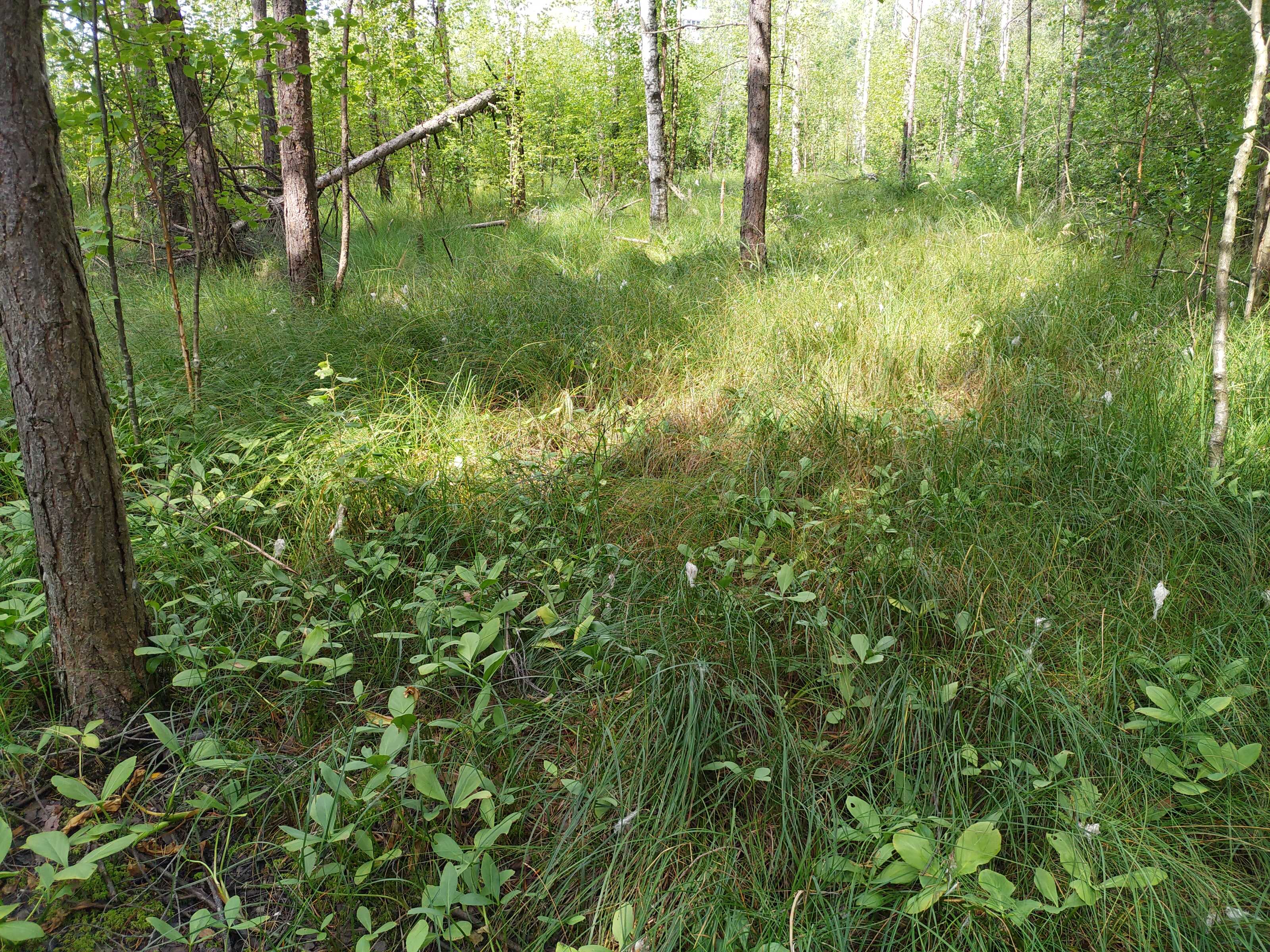 Kuva kohteesta v. 2021