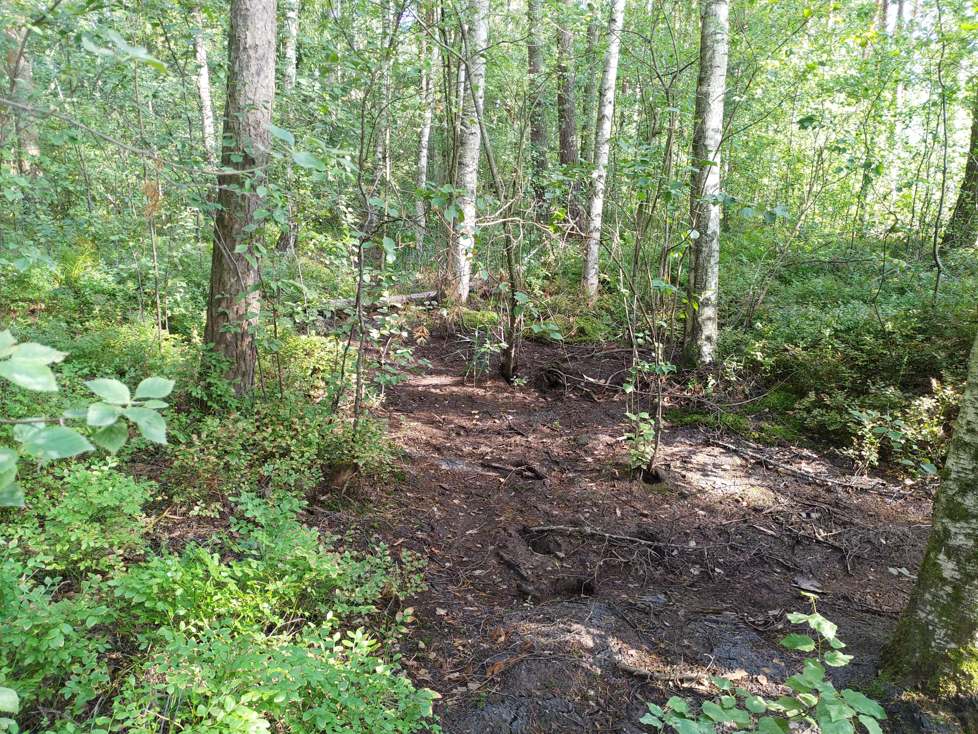 Kuva kohteesta v. 2021