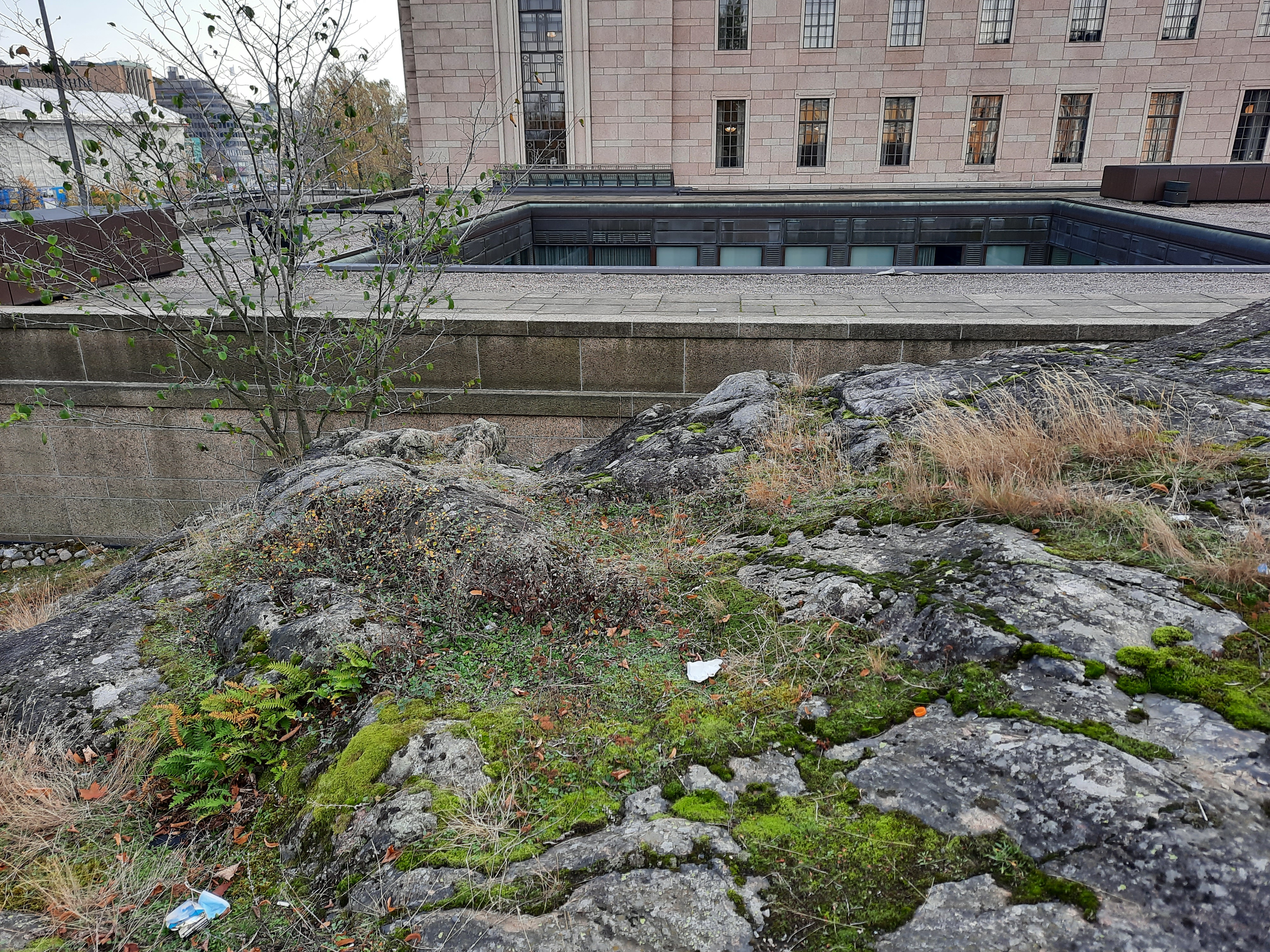 Kuva kohteesta v. 2021