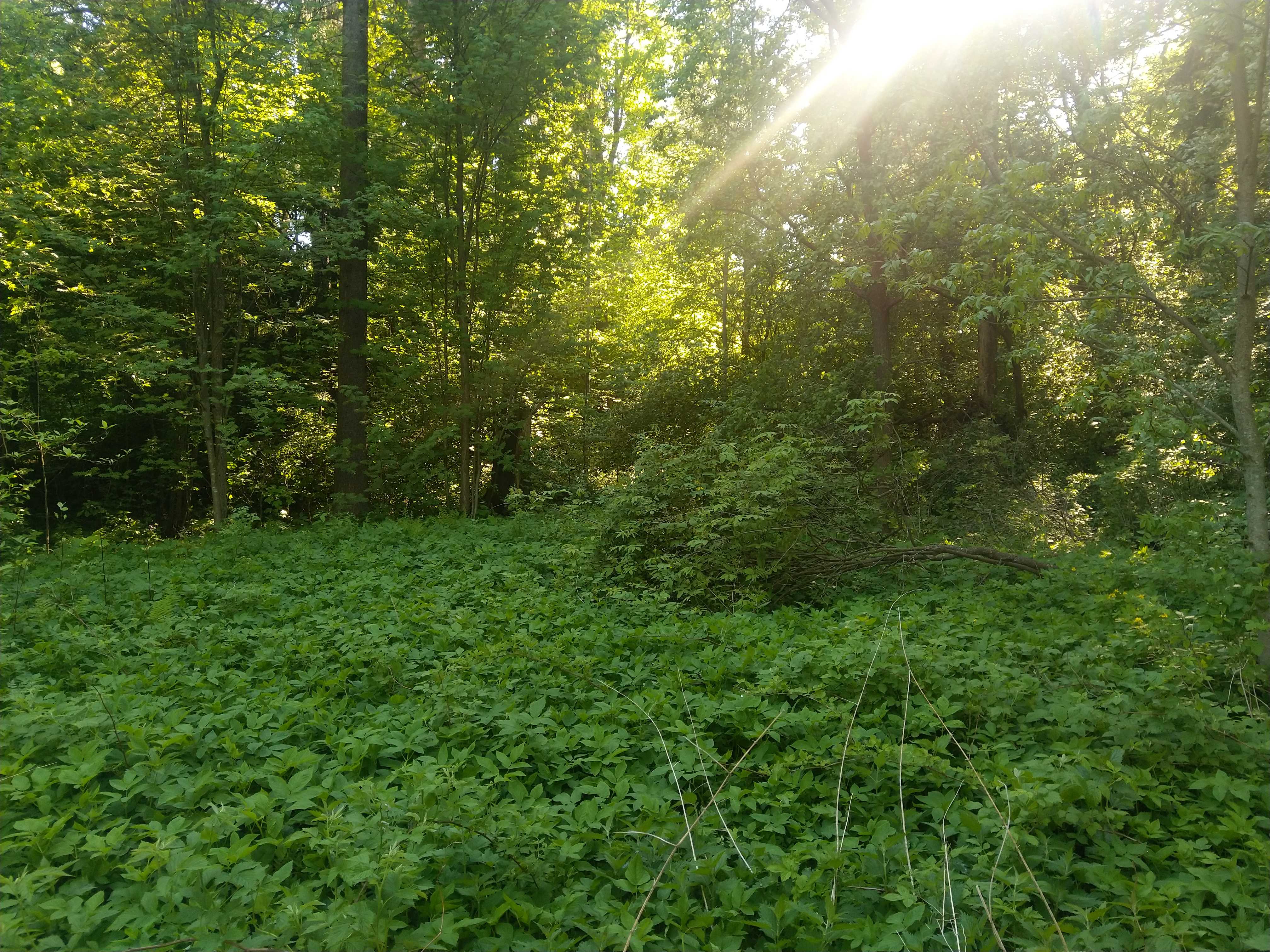 Kuva kohteesta v. 2021