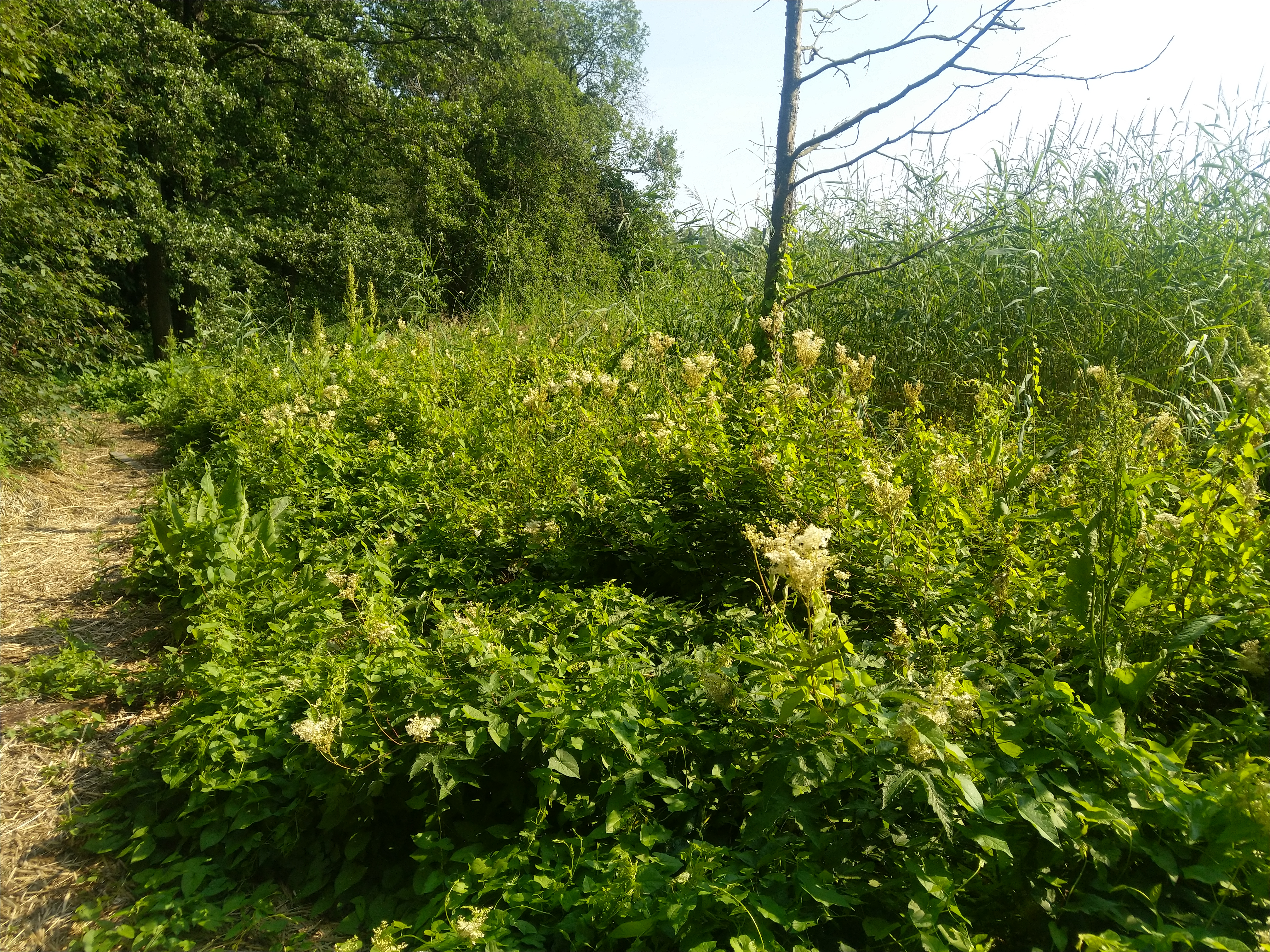 Kuva kohteesta v. 2021