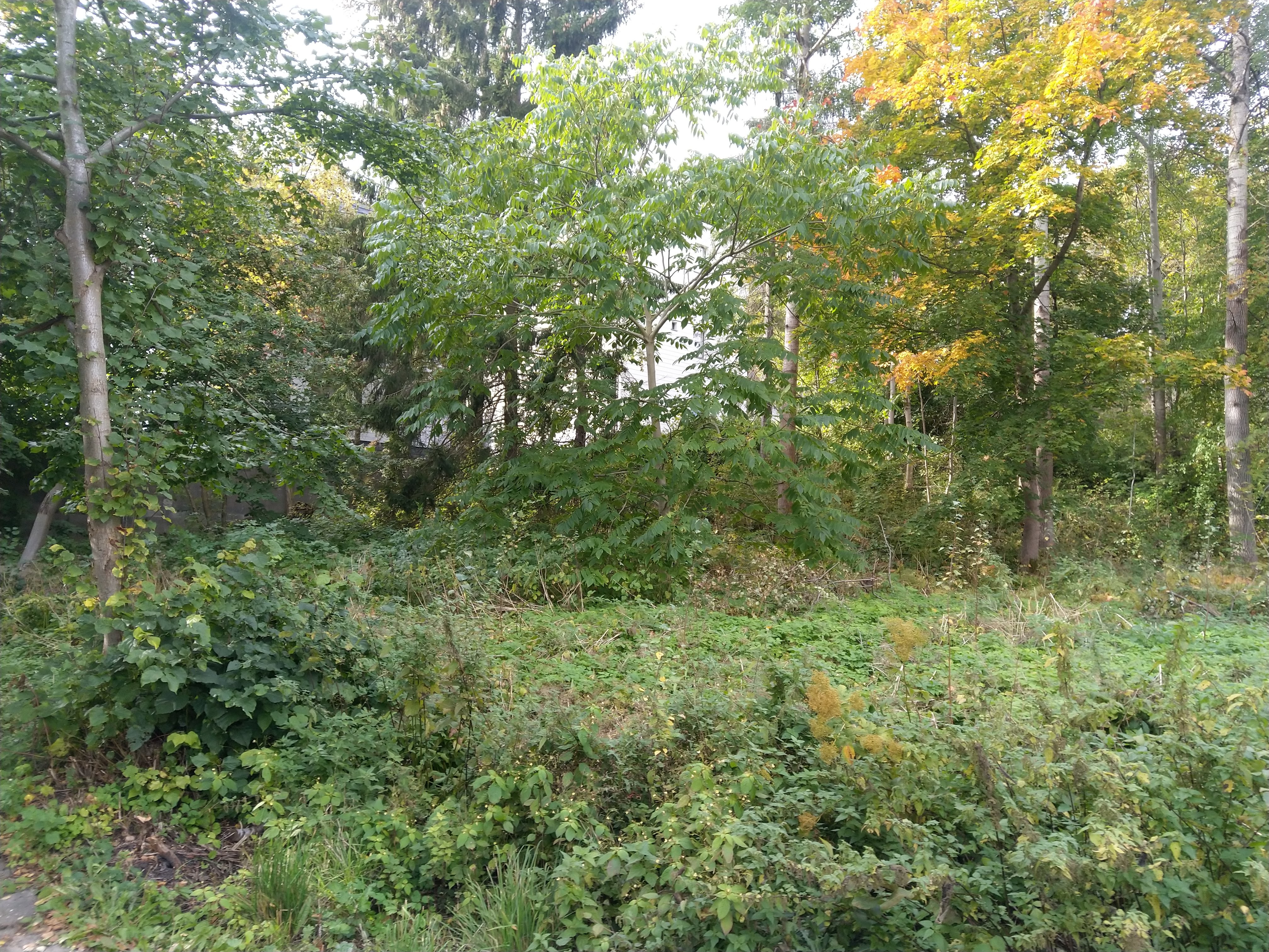 Kuva kohteesta v. 2021