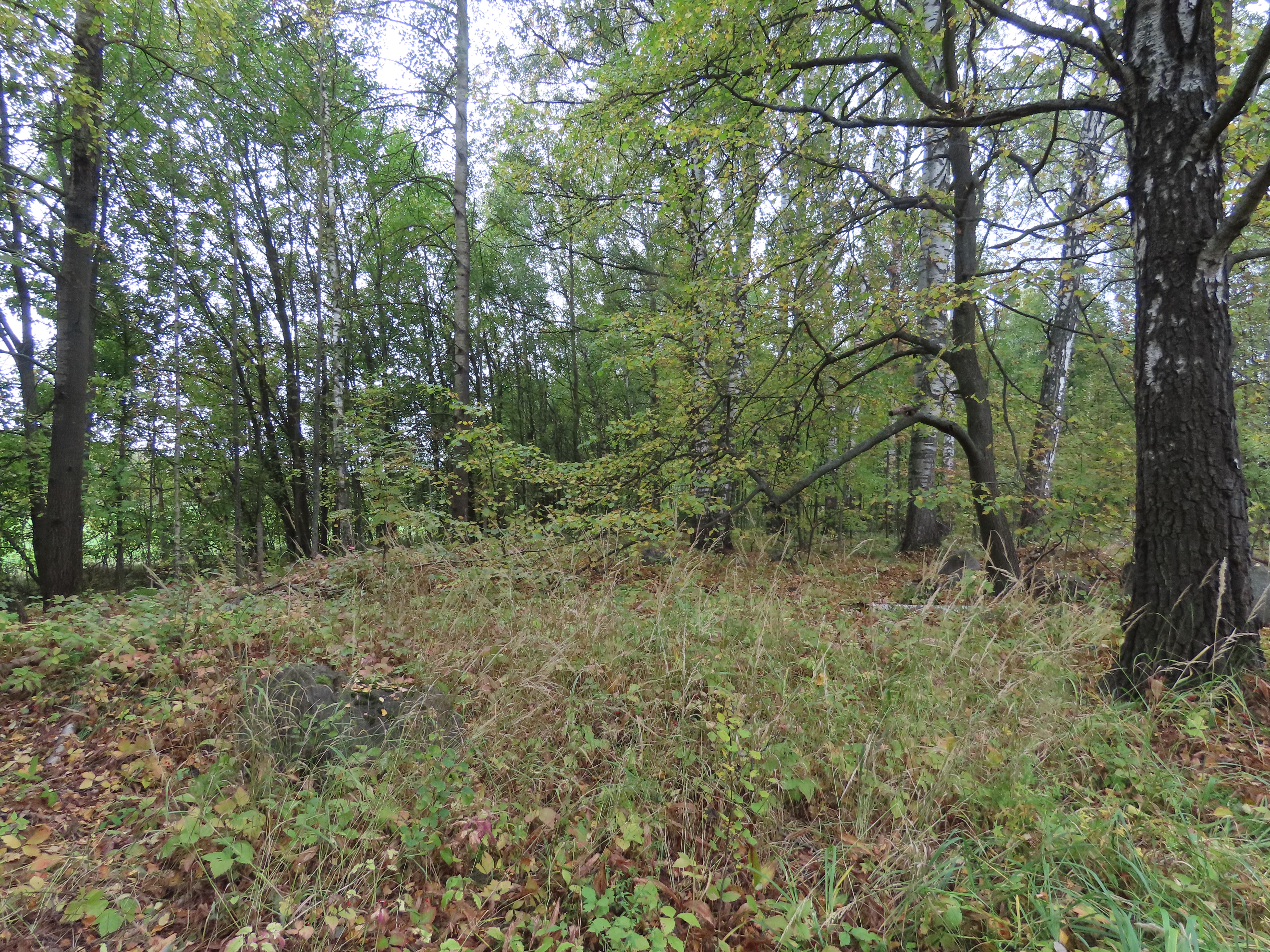 Kuva kohteesta v. 2021