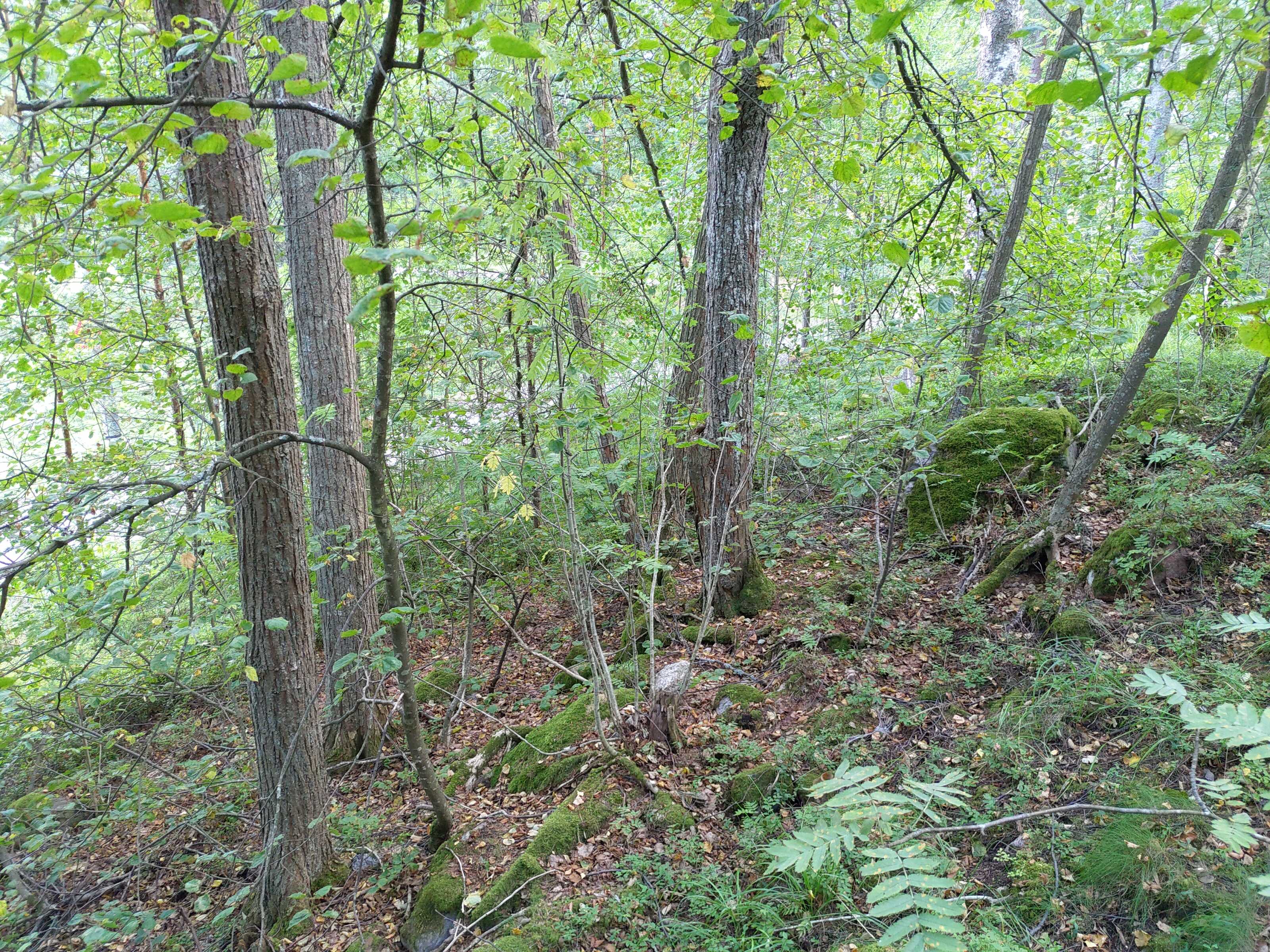 Kuva kohteesta v. 2021