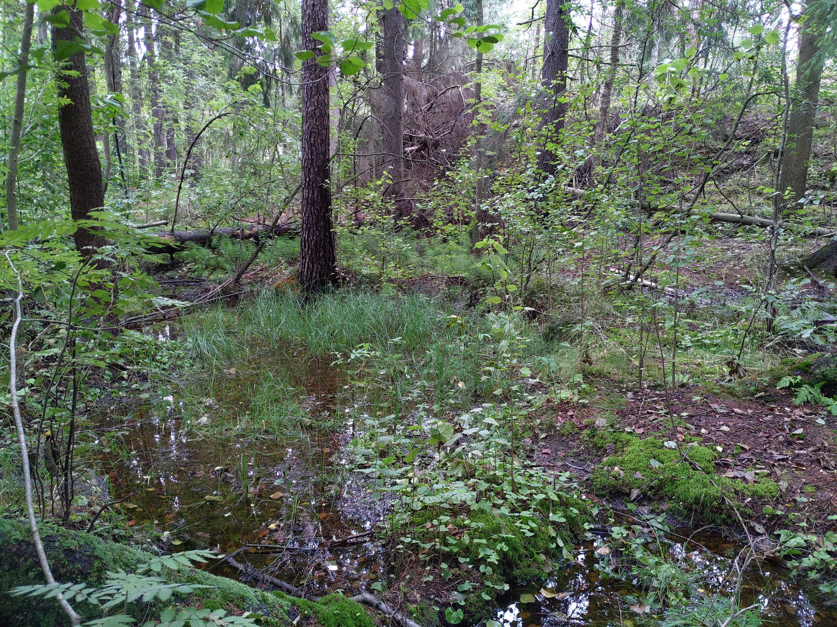 Kuva kohteesta v. 2021