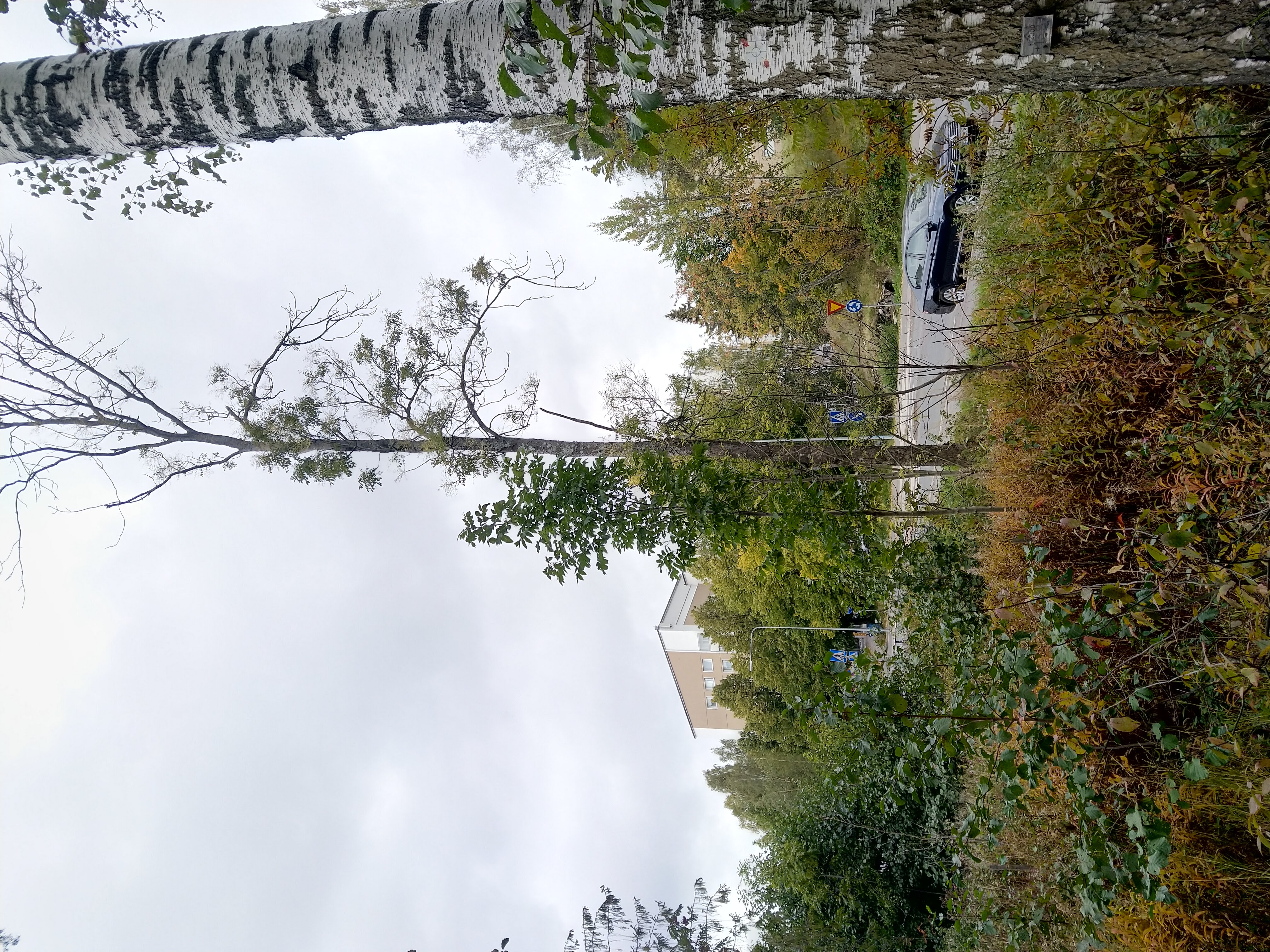 Kuva kohteesta v. 2021