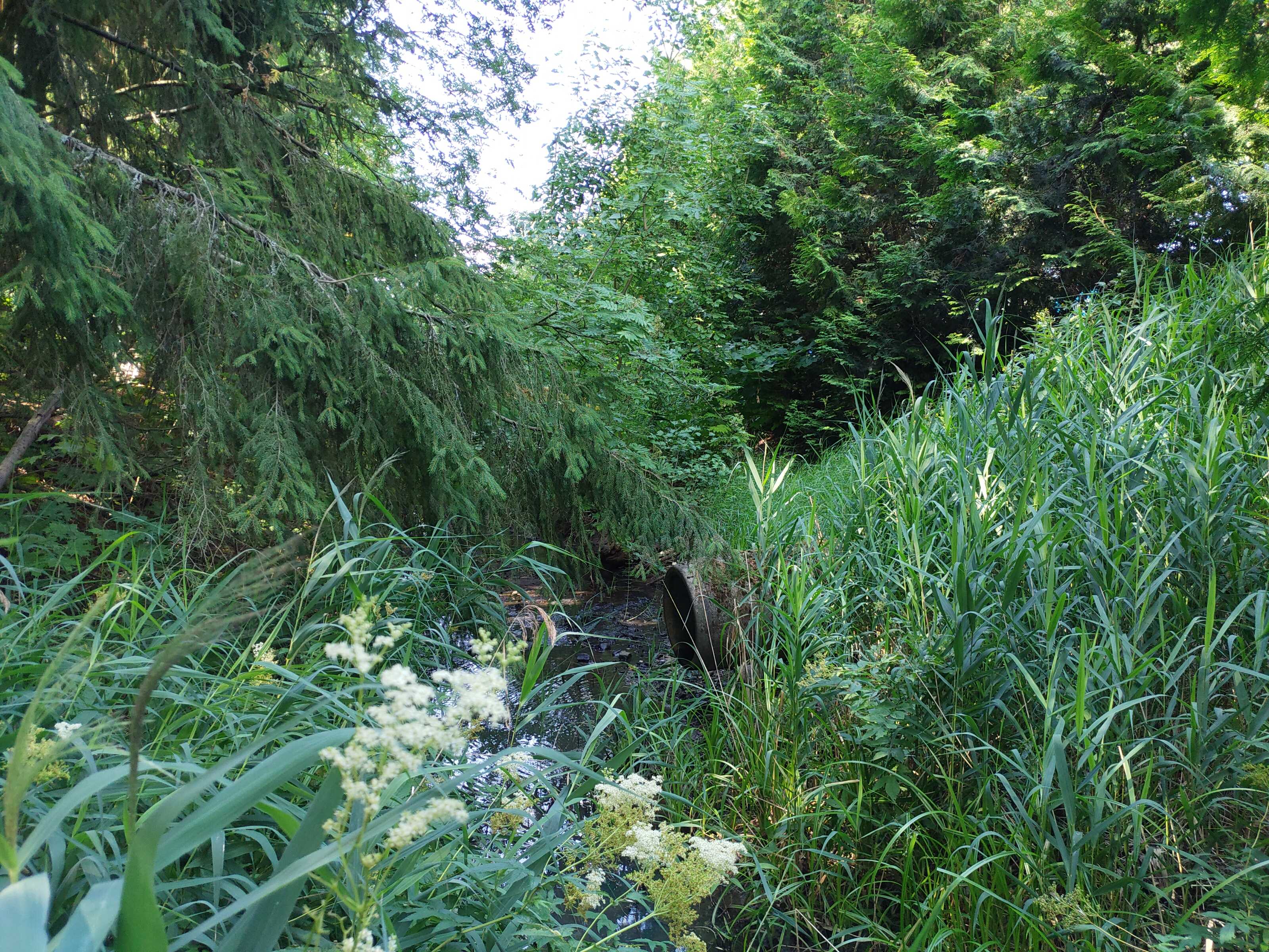 Kuva kohteesta v. 2021