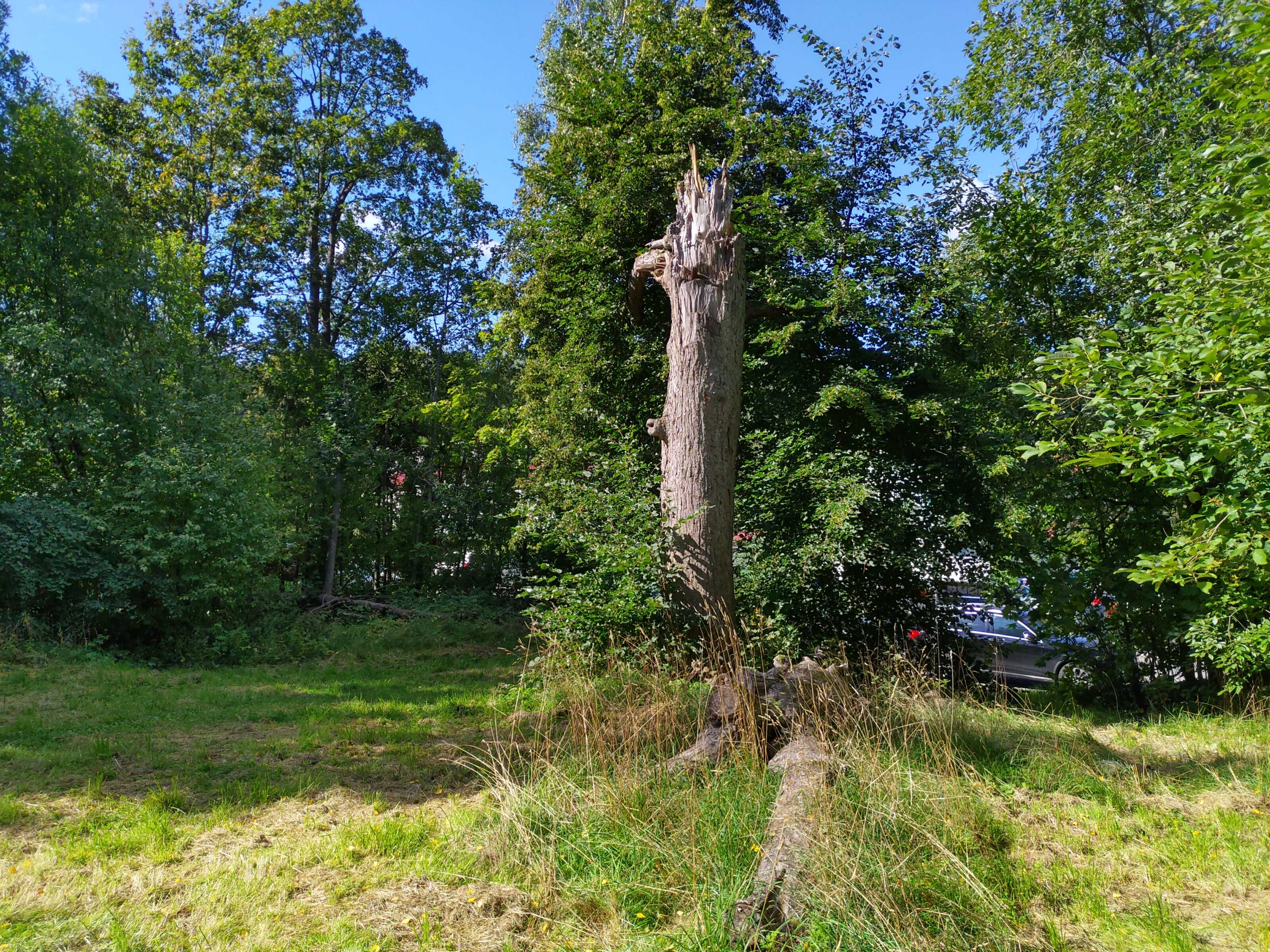 Kuva kohteesta v. 2021