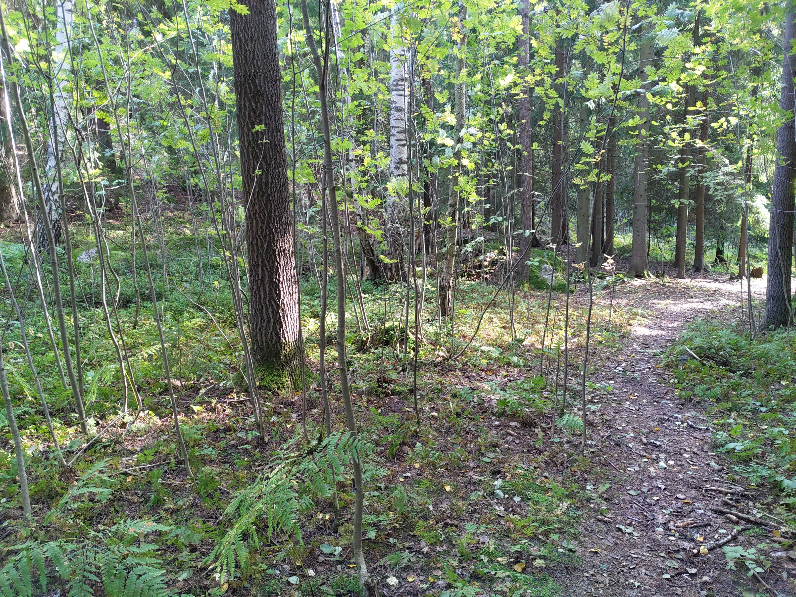 Kuva kohteesta v. 2021