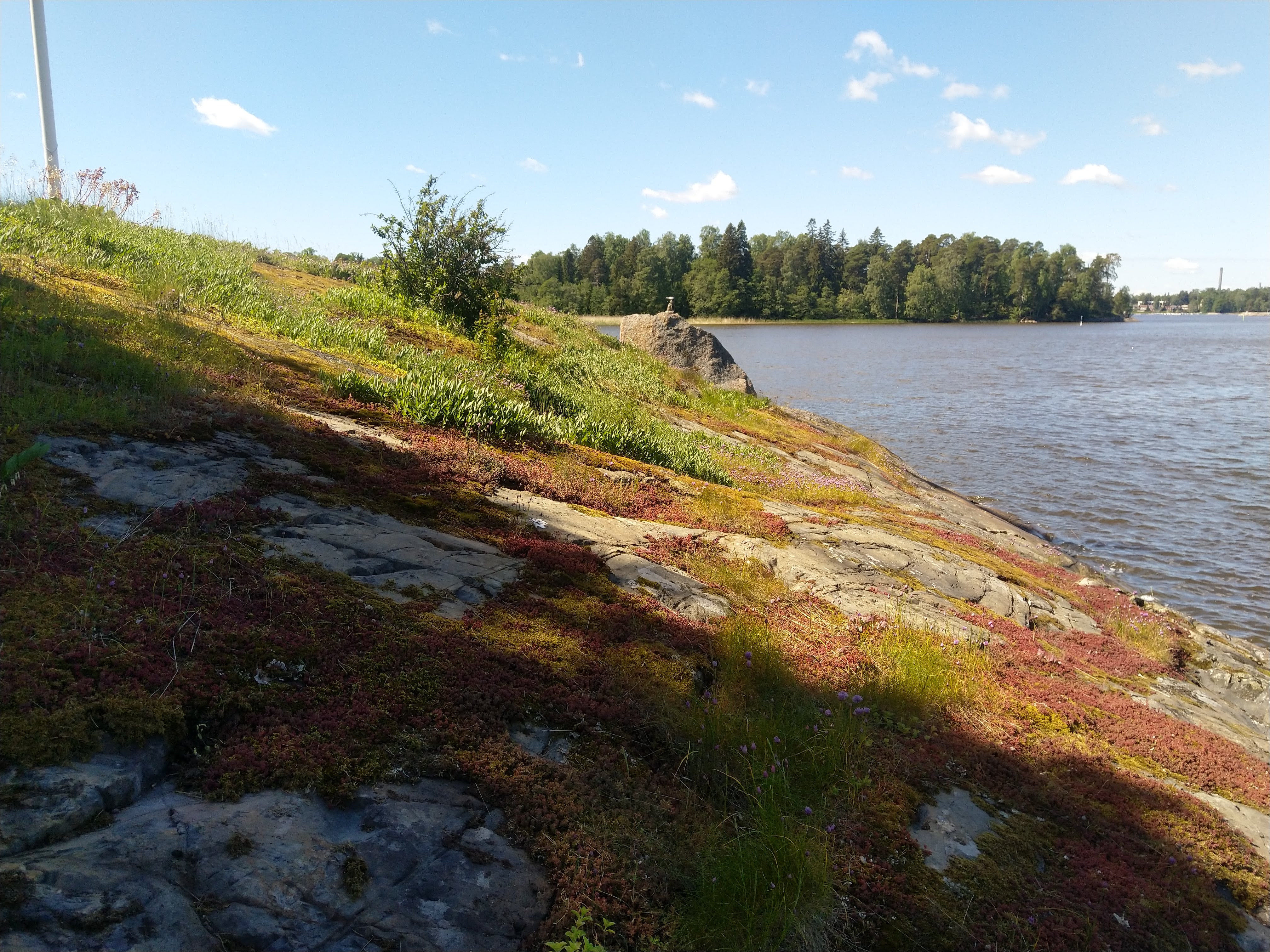 Kuva kohteesta v. 2022