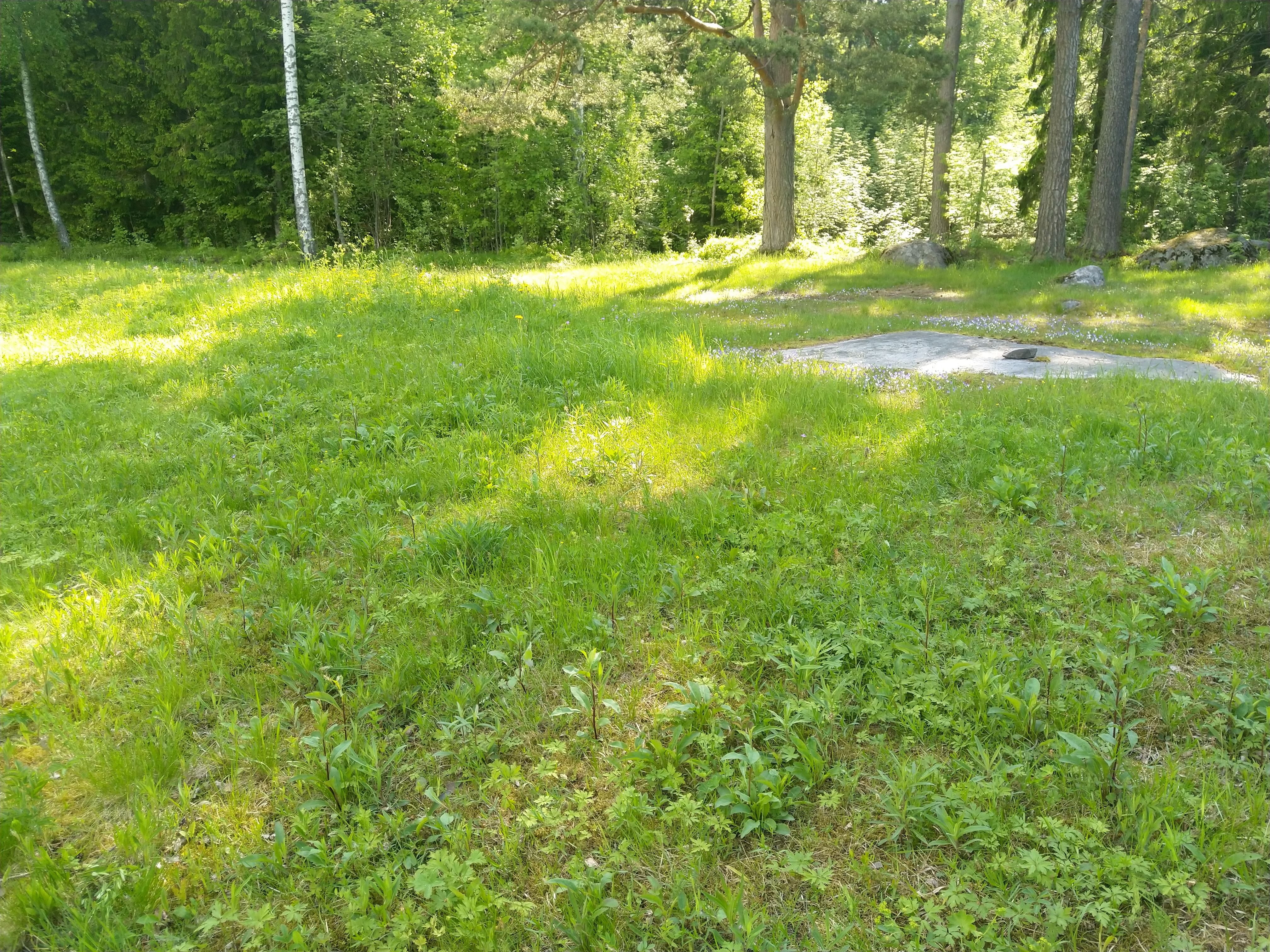 Kuva kohteesta v. 2022