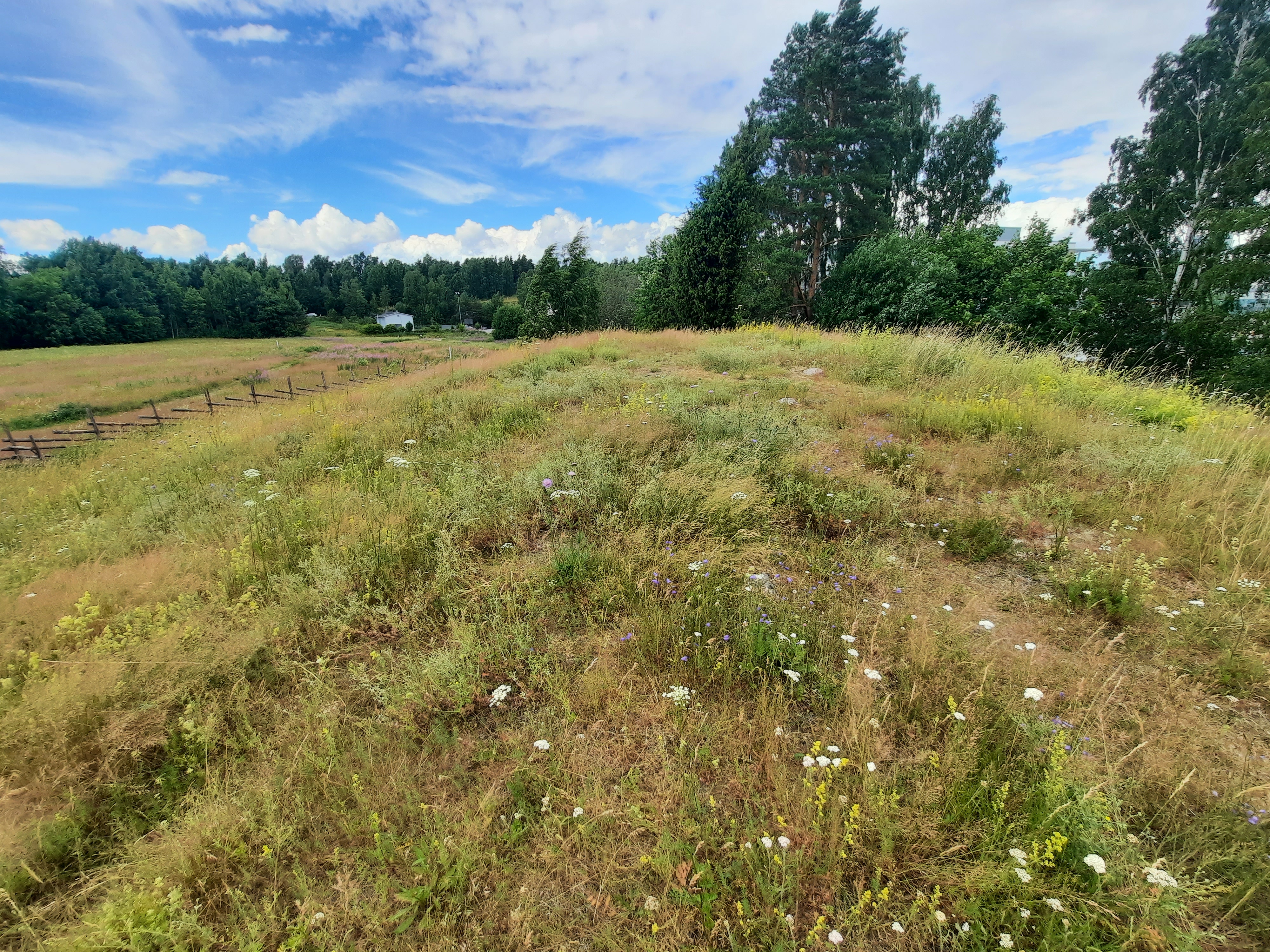 Kuva kohteesta v. 2022