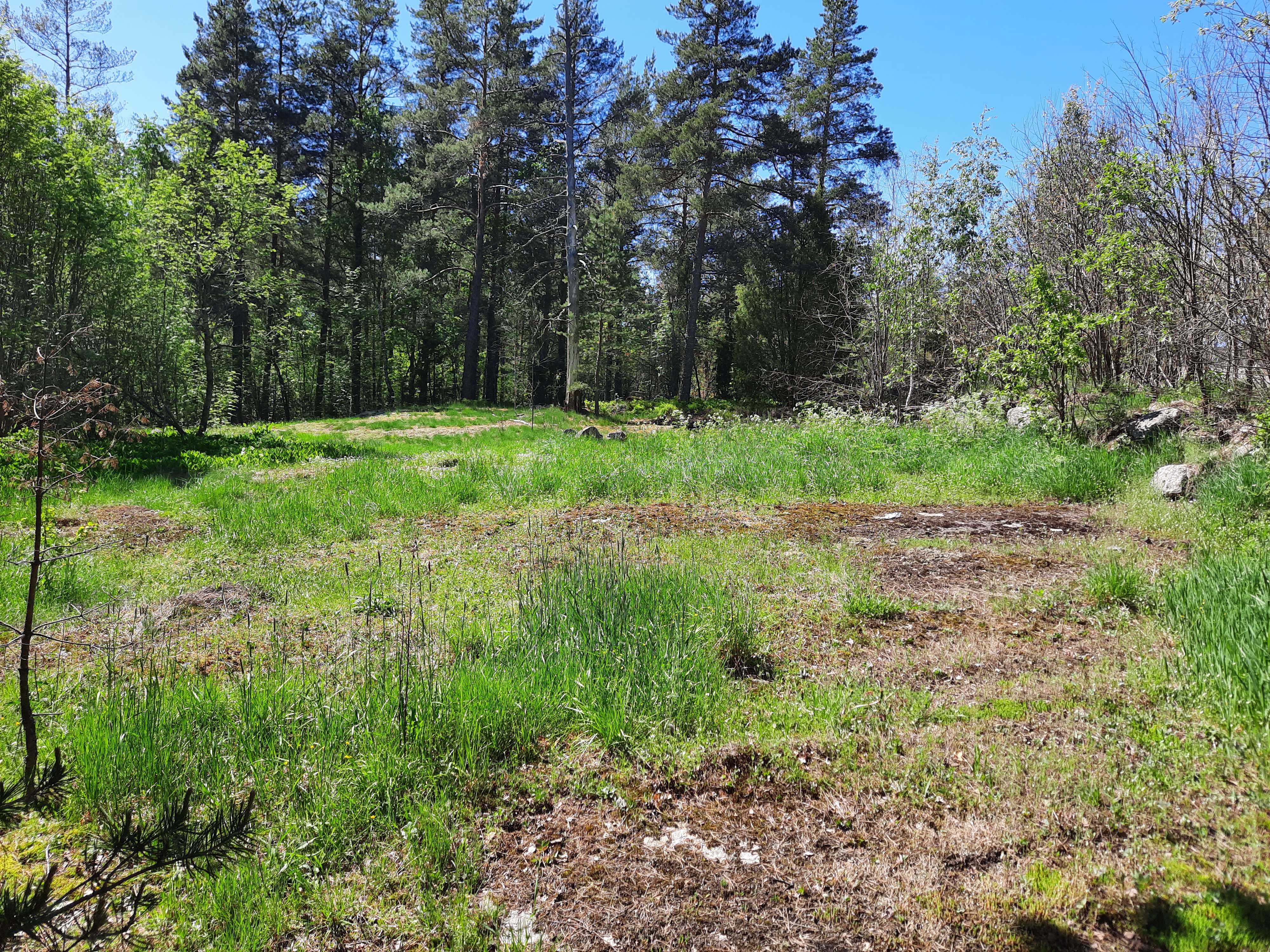 Kuva kohteesta v. 2022