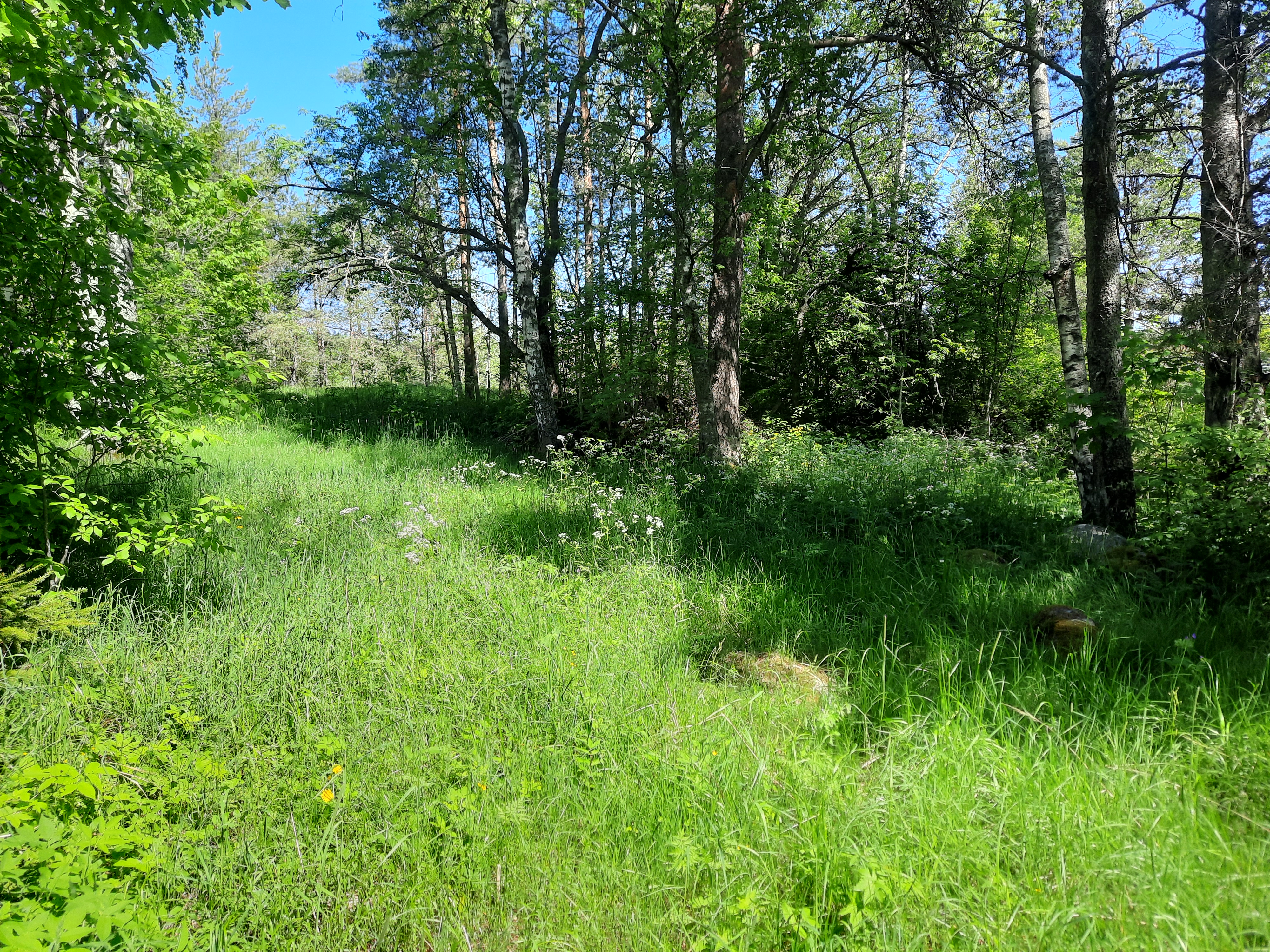 Kuva kohteesta v. 2022