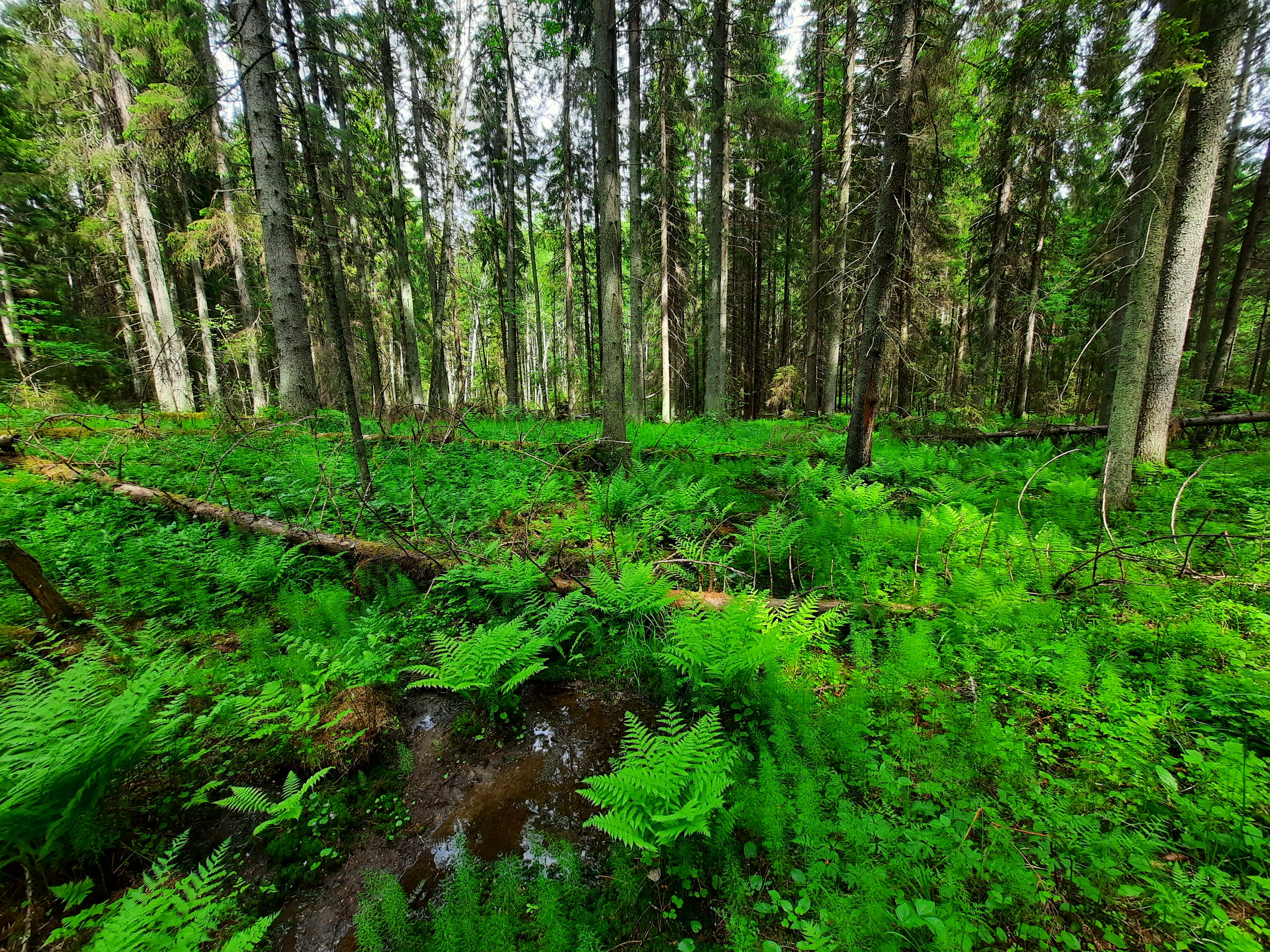 Kuva kohteesta v. 2022