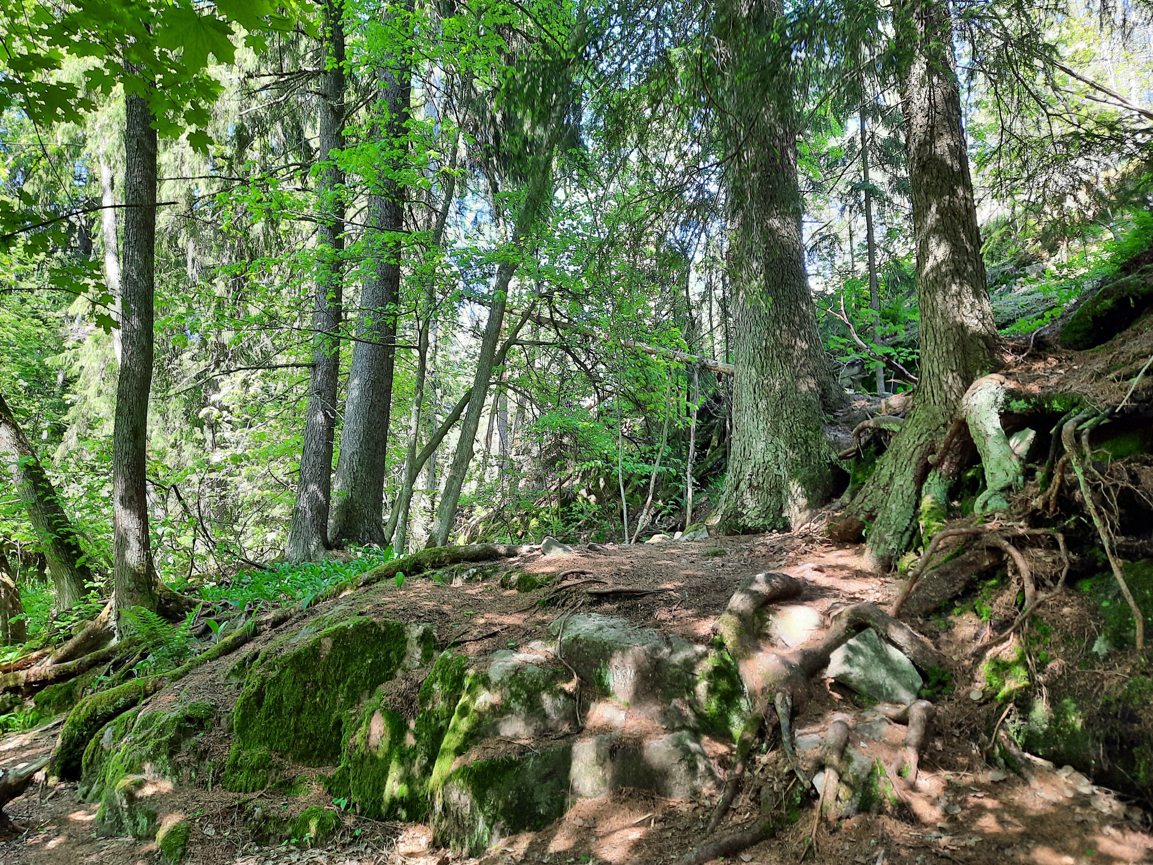 Kuva kohteesta v. 2022