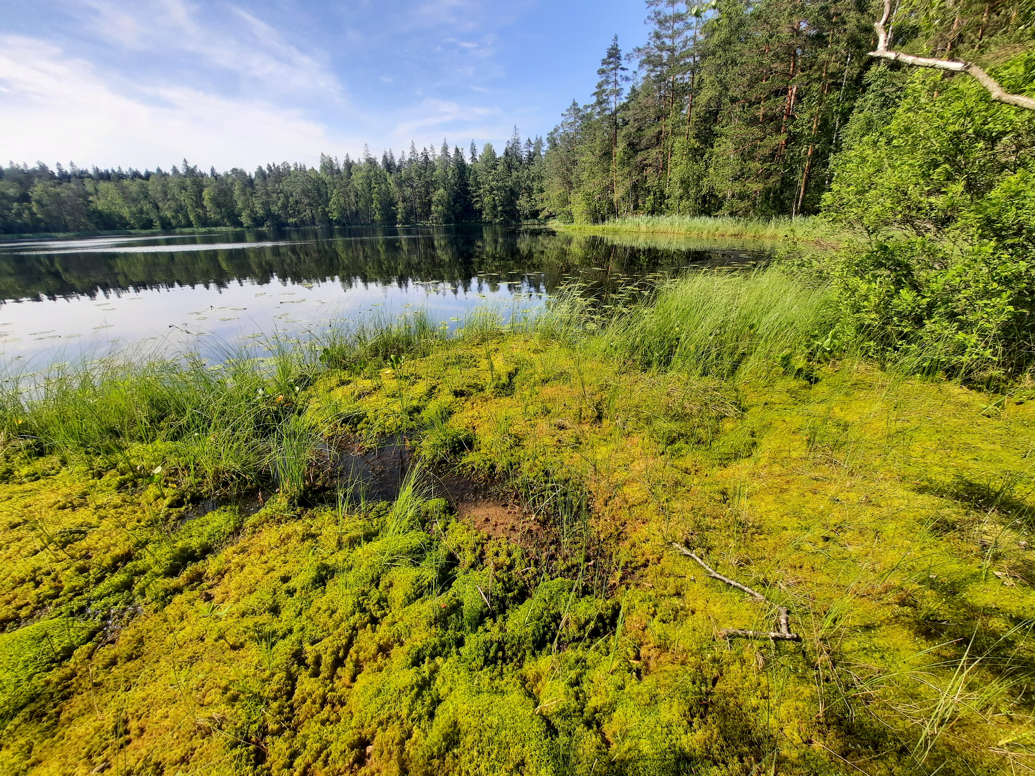 Kuva kohteesta v. 2022