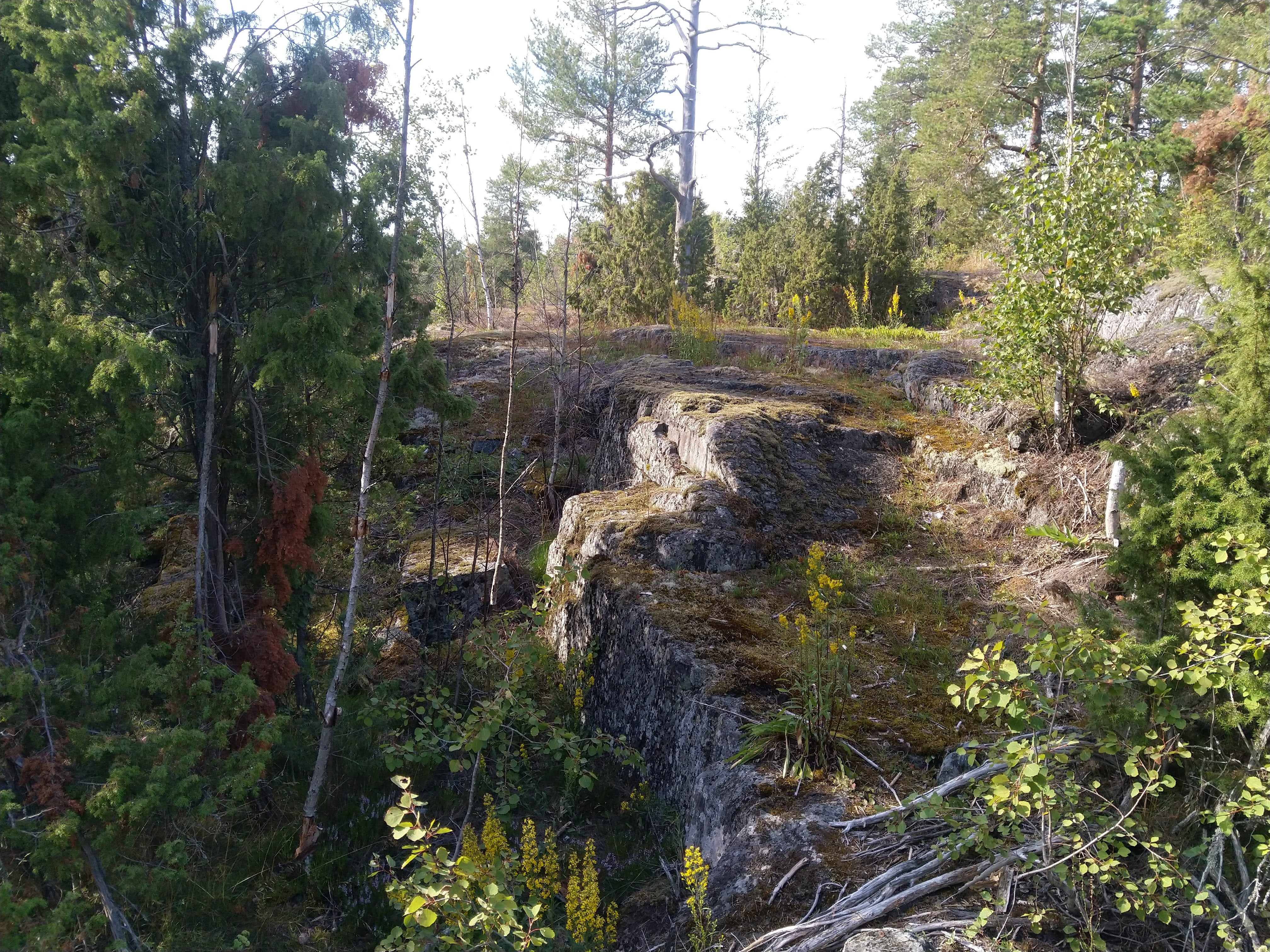 Kuva kohteesta v. 2022