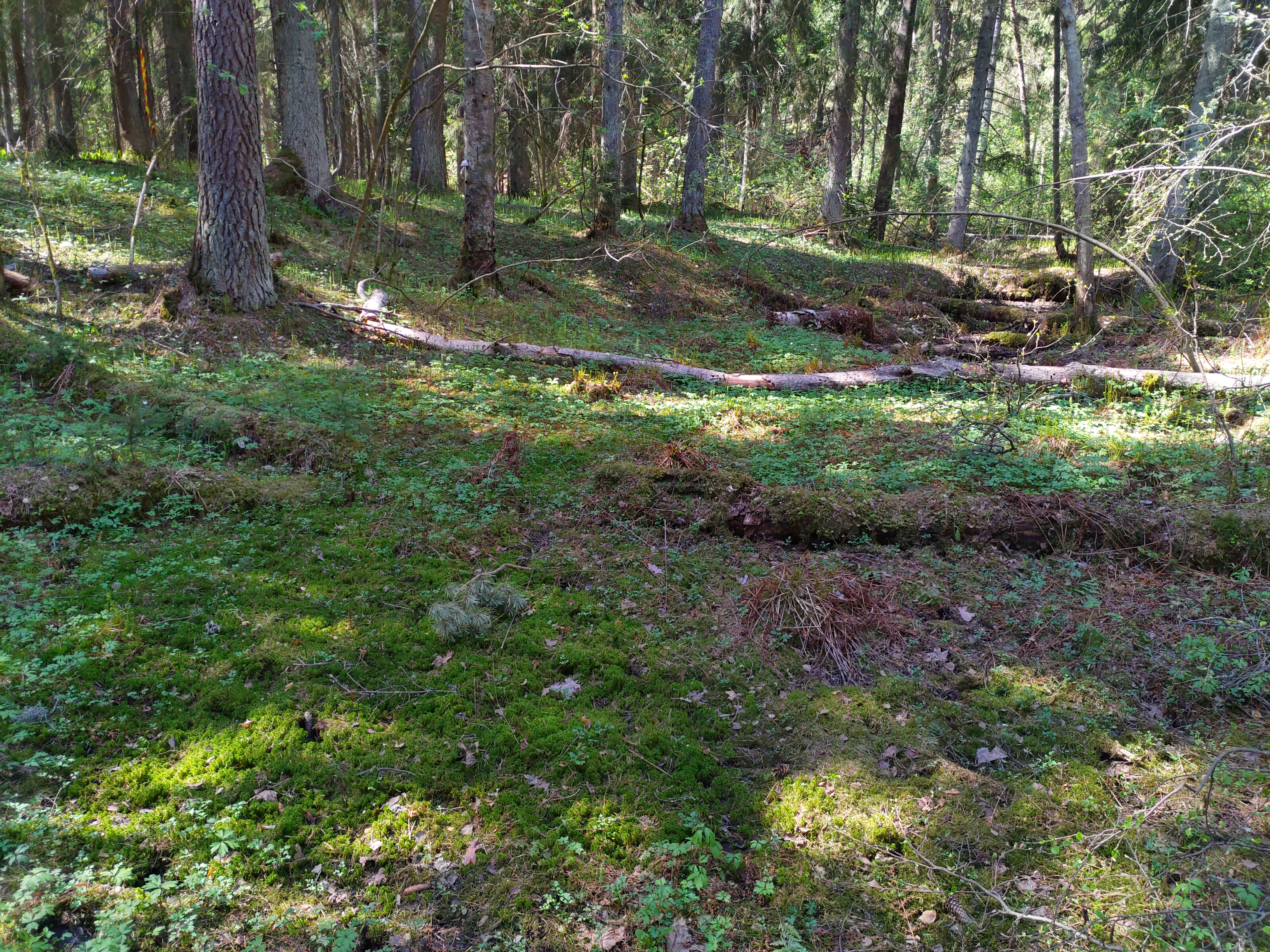 Kuva kohteesta v. 2022