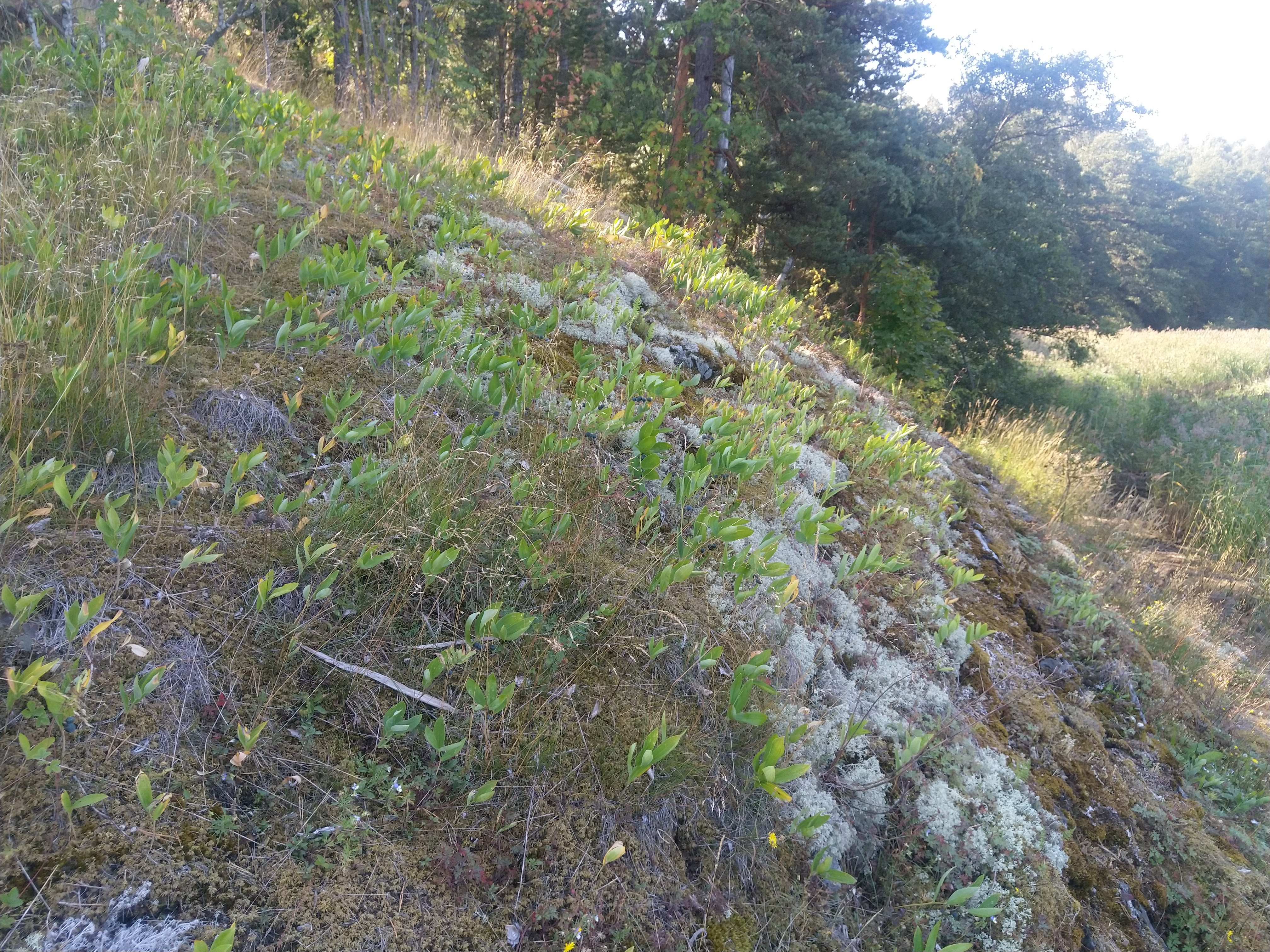 Kuva kohteesta v. 2022