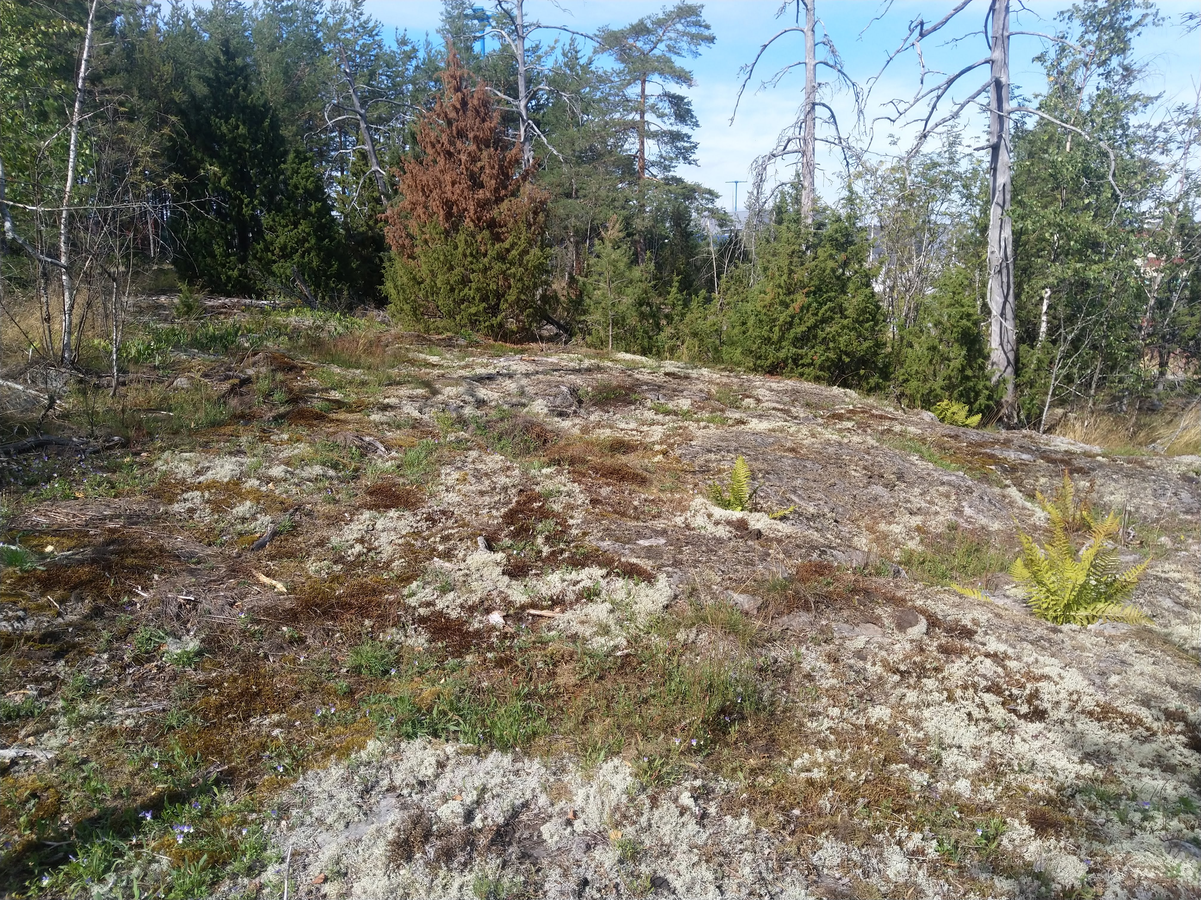 Kuva kohteesta v. 2022