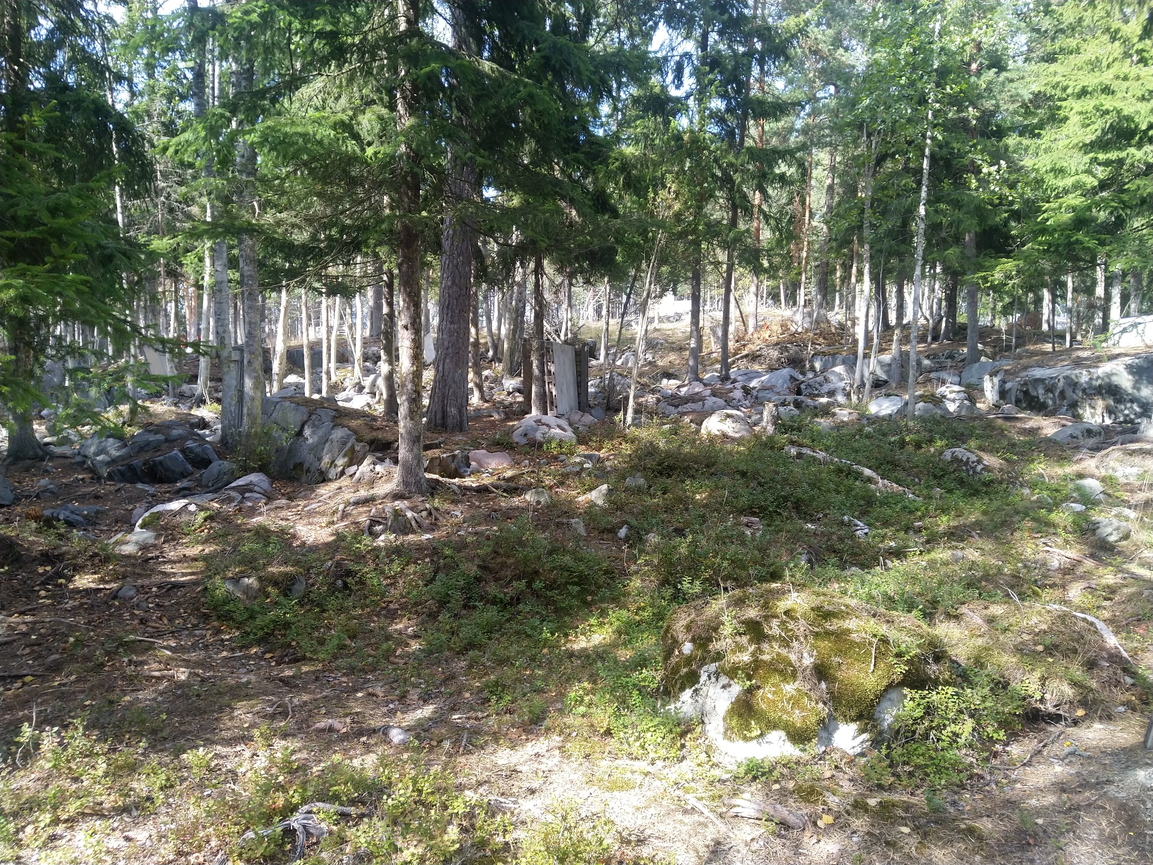 Kuva kohteesta v. 2022