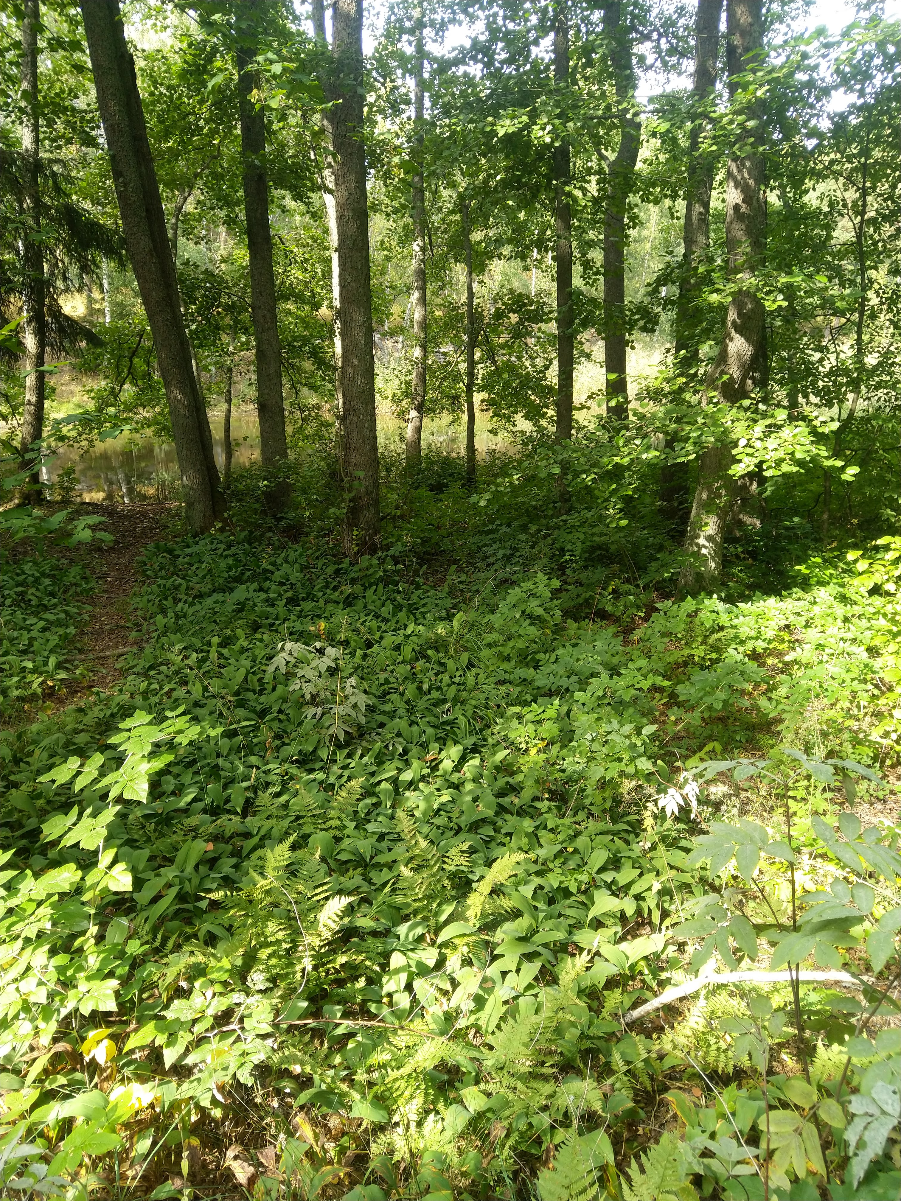 Kuva kohteesta v. 2022