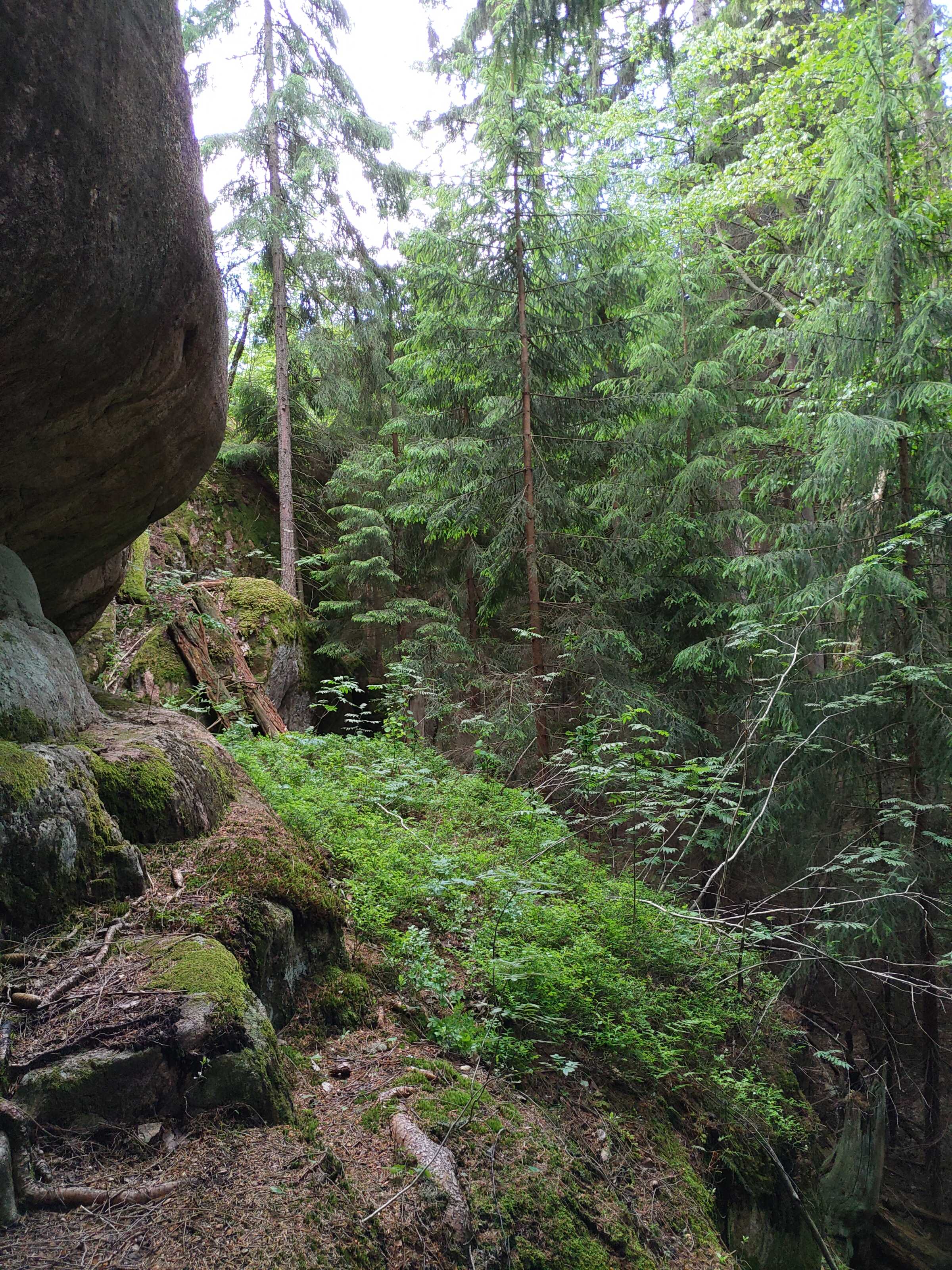 Kuva kohteesta v. 2022