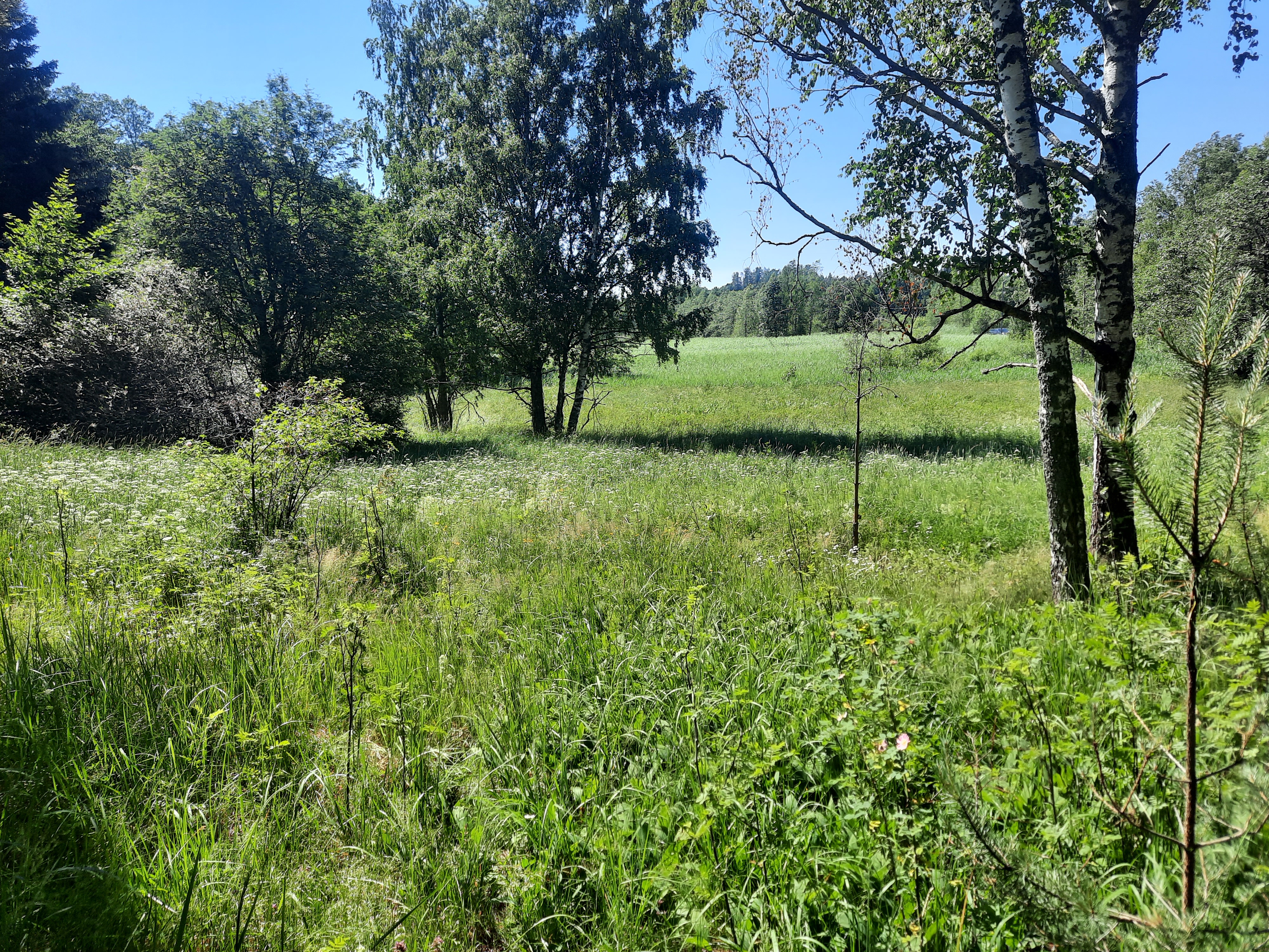 Kuva kohteesta v. 2022