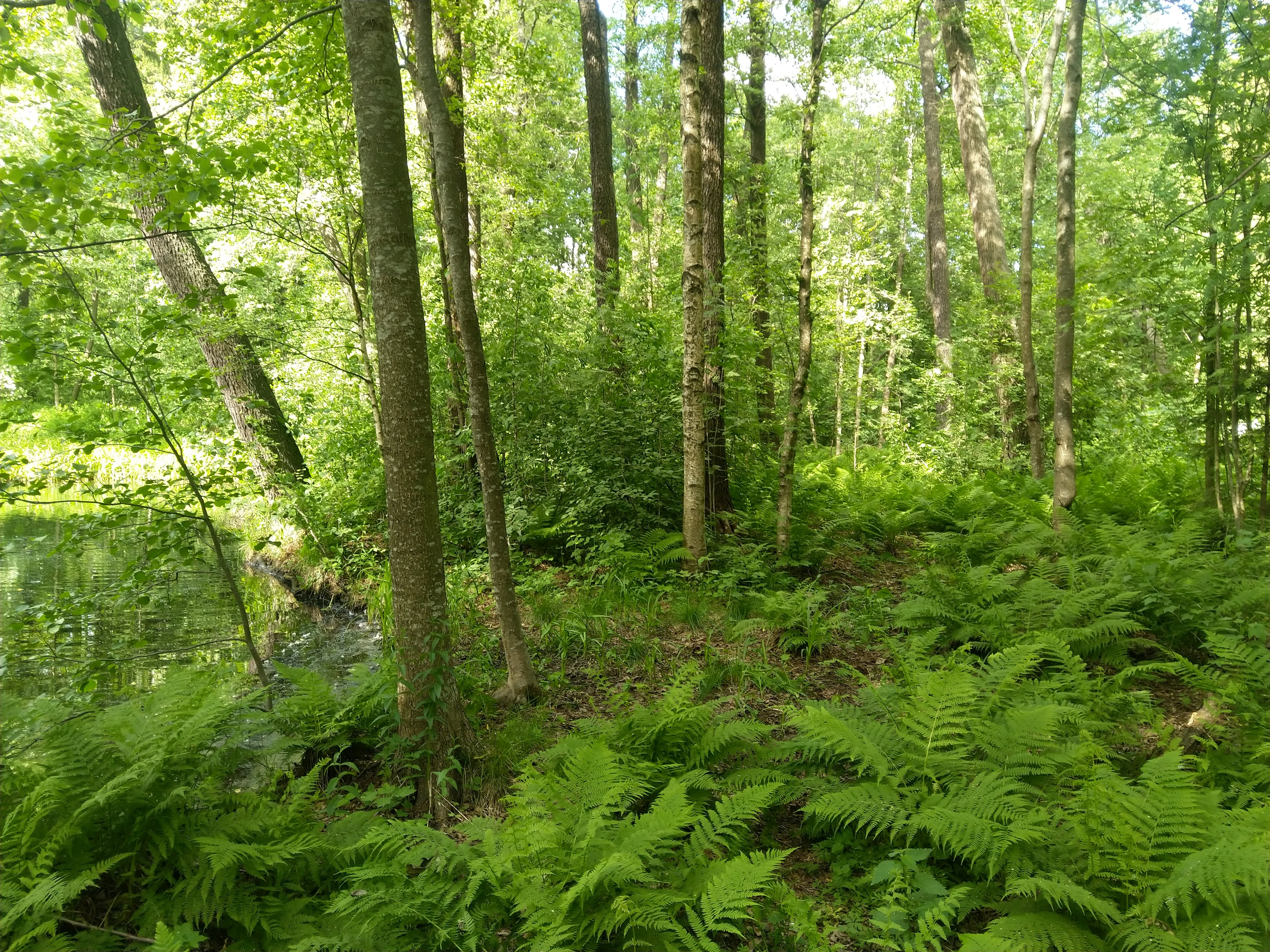 Kuva kohteesta v. 2022