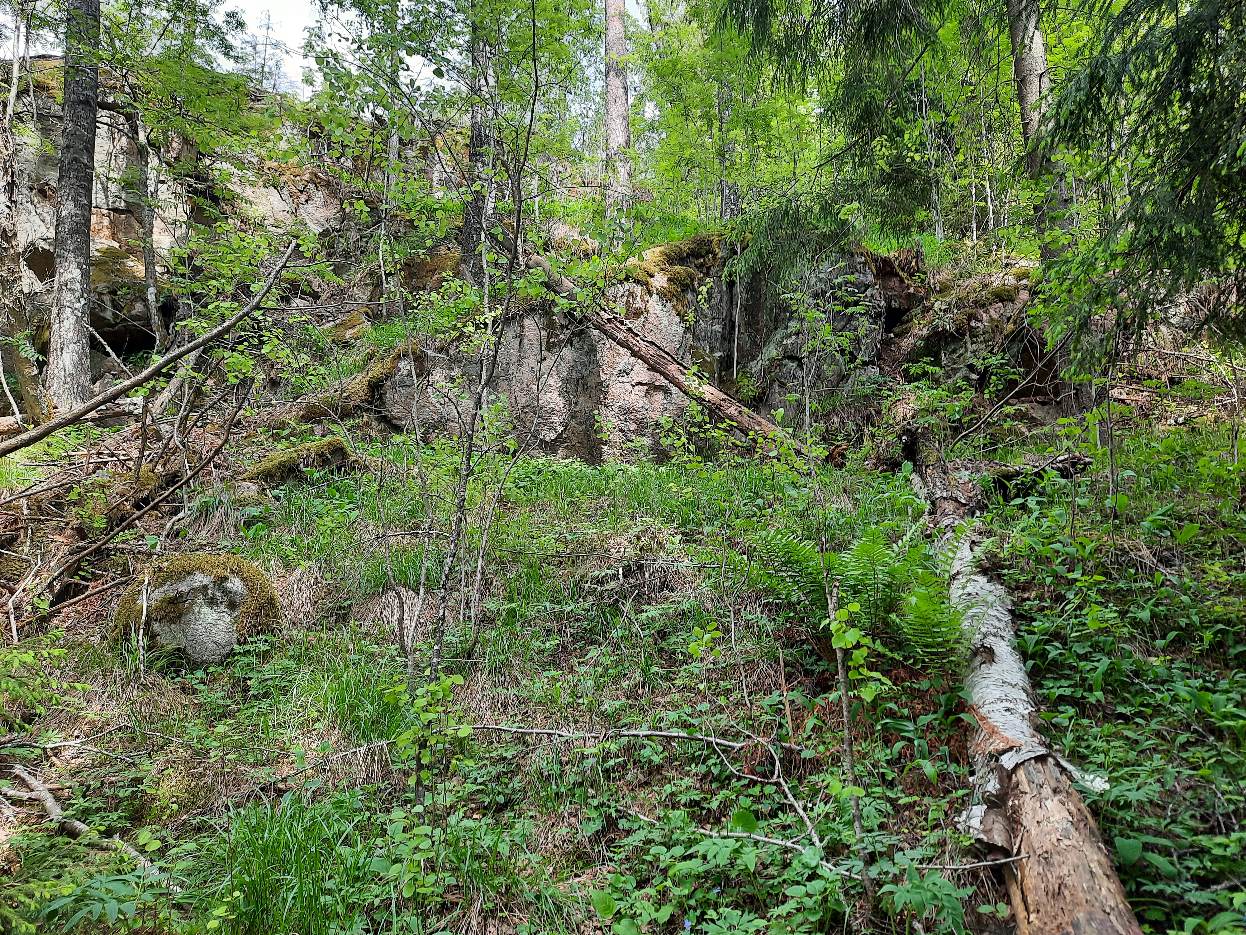 Kuva kohteesta v. 2022