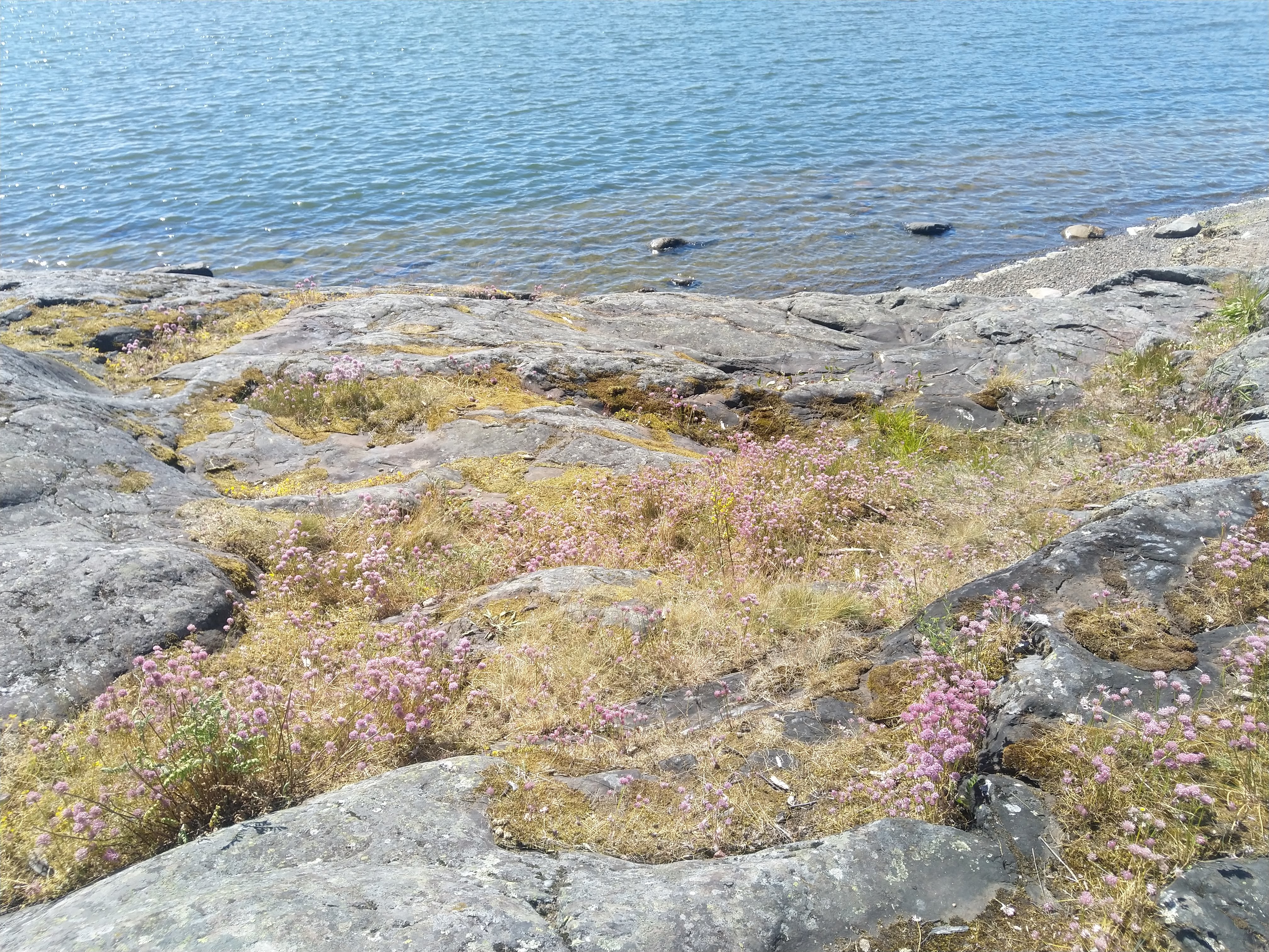 Kuva kohteesta v. 2022