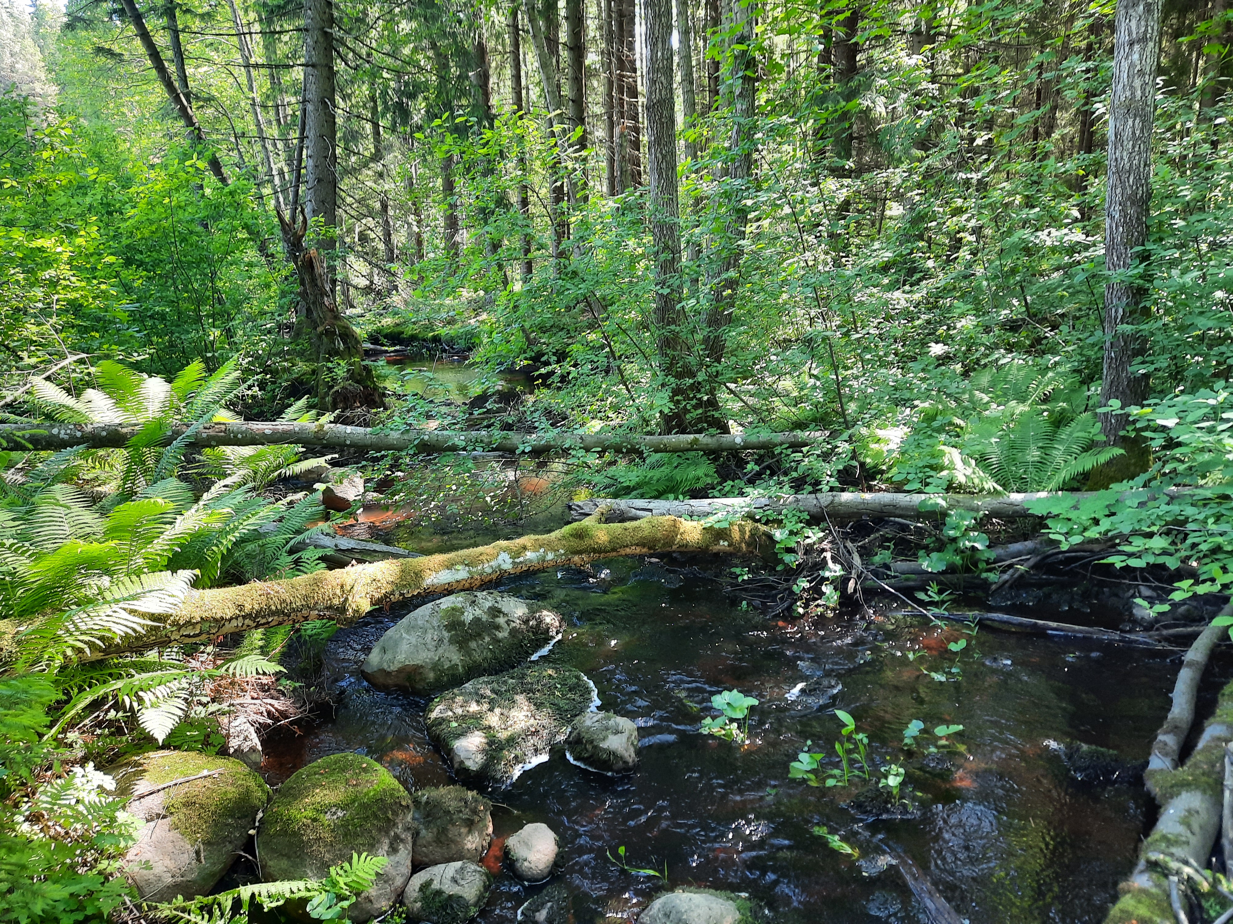 Kuva kohteesta v. 2022