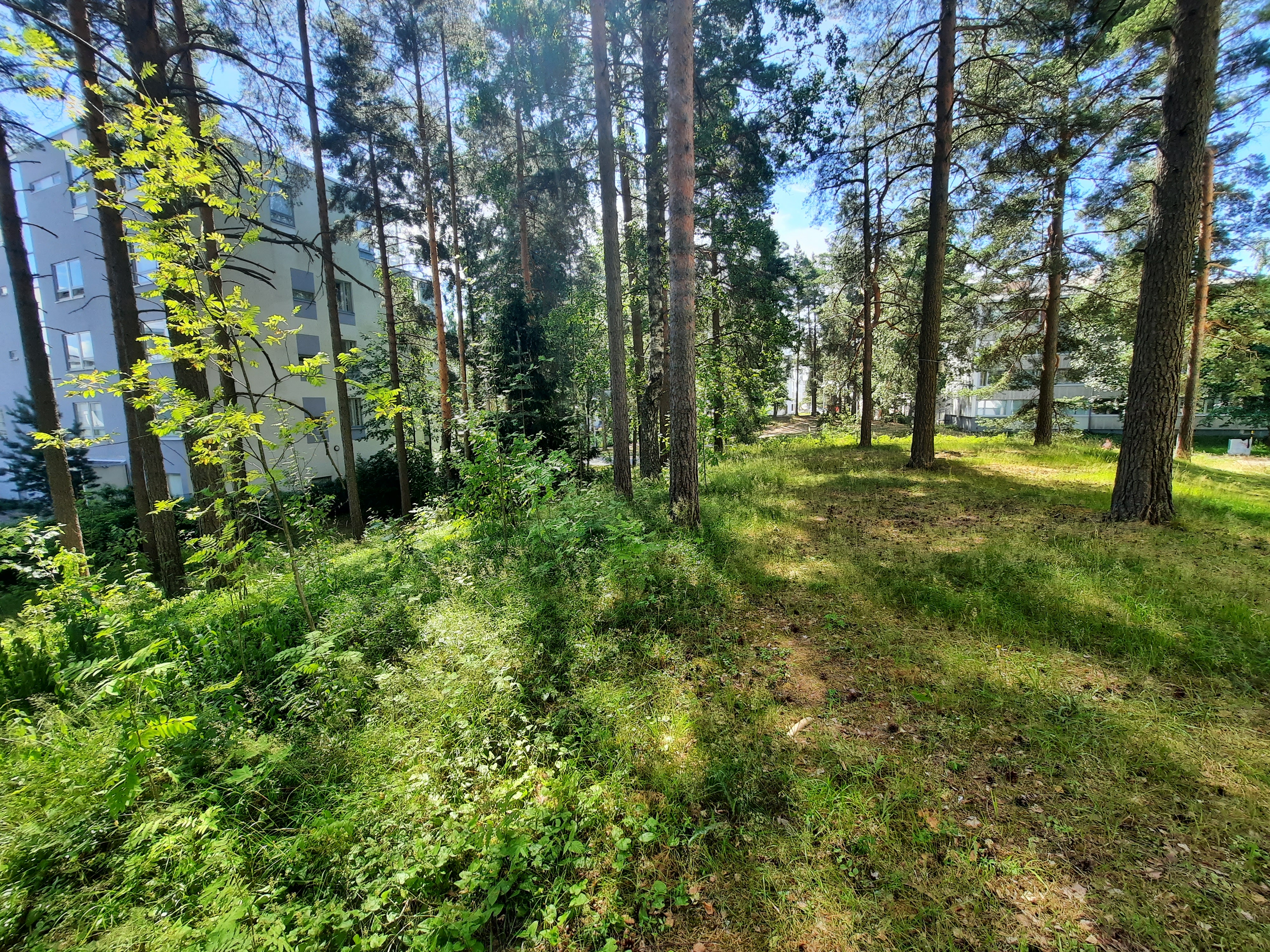 Kuva kohteesta v. 2022