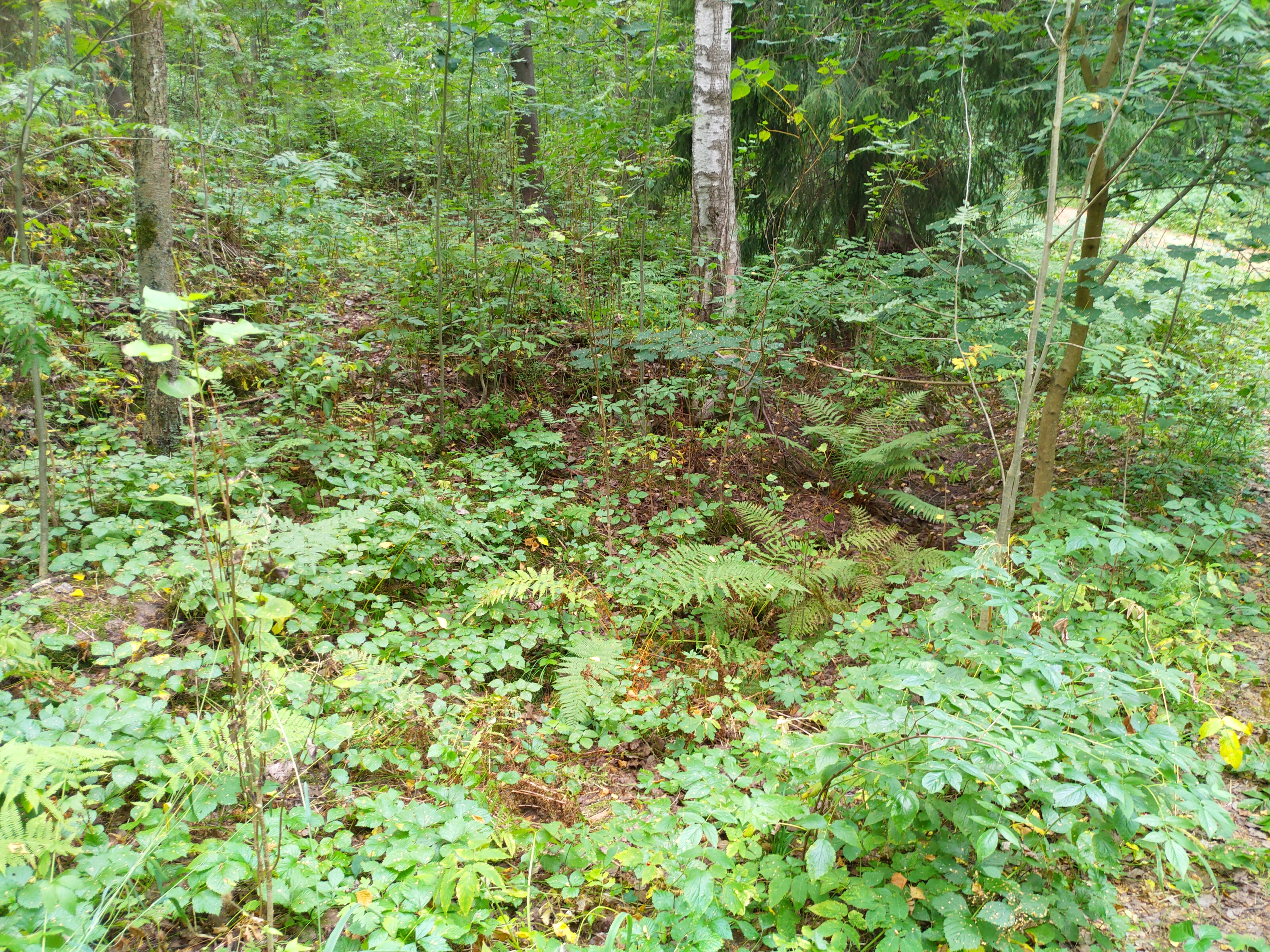 Kuva kohteesta v. 2022