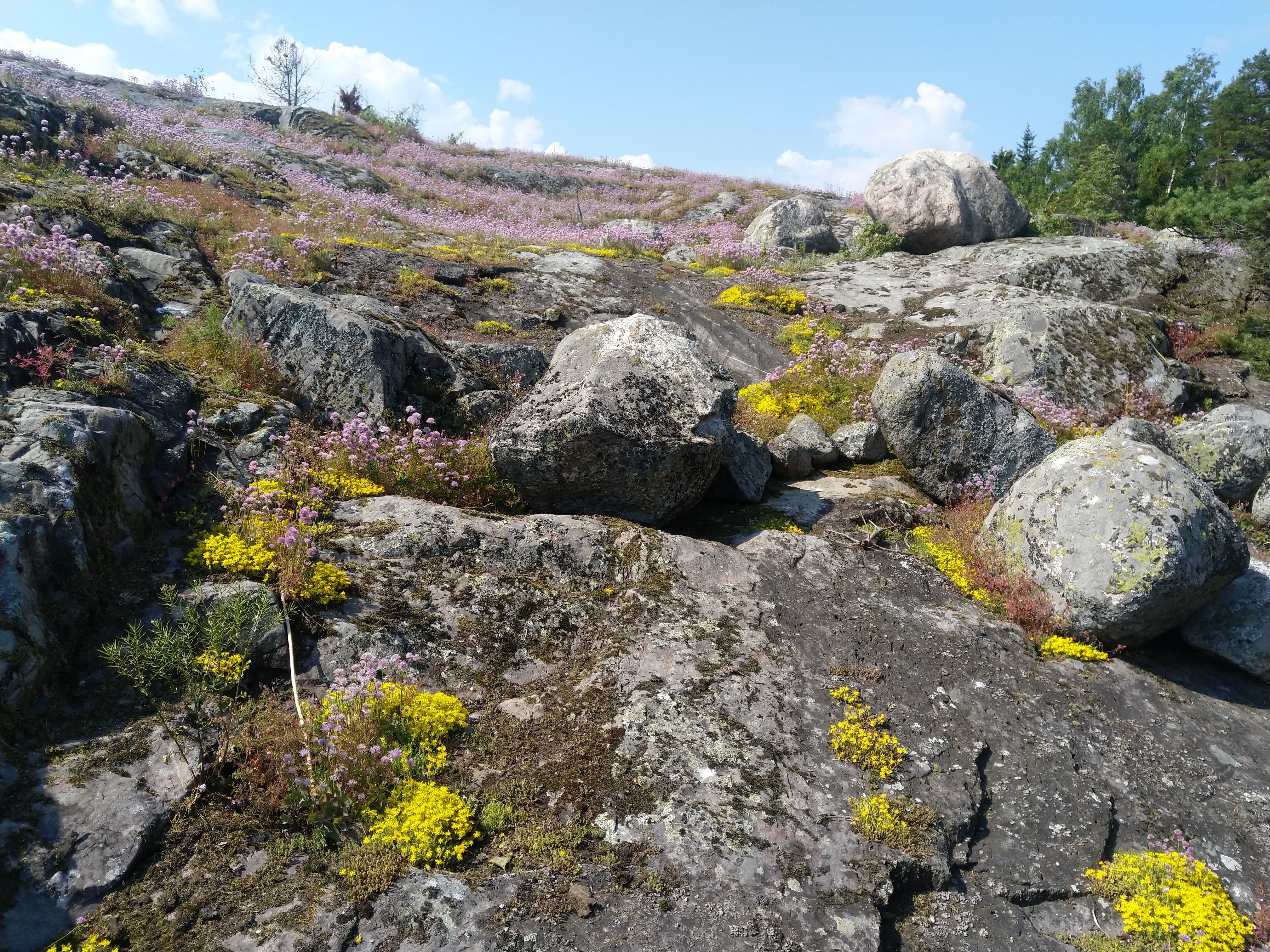 Kuva kohteesta v. 2022