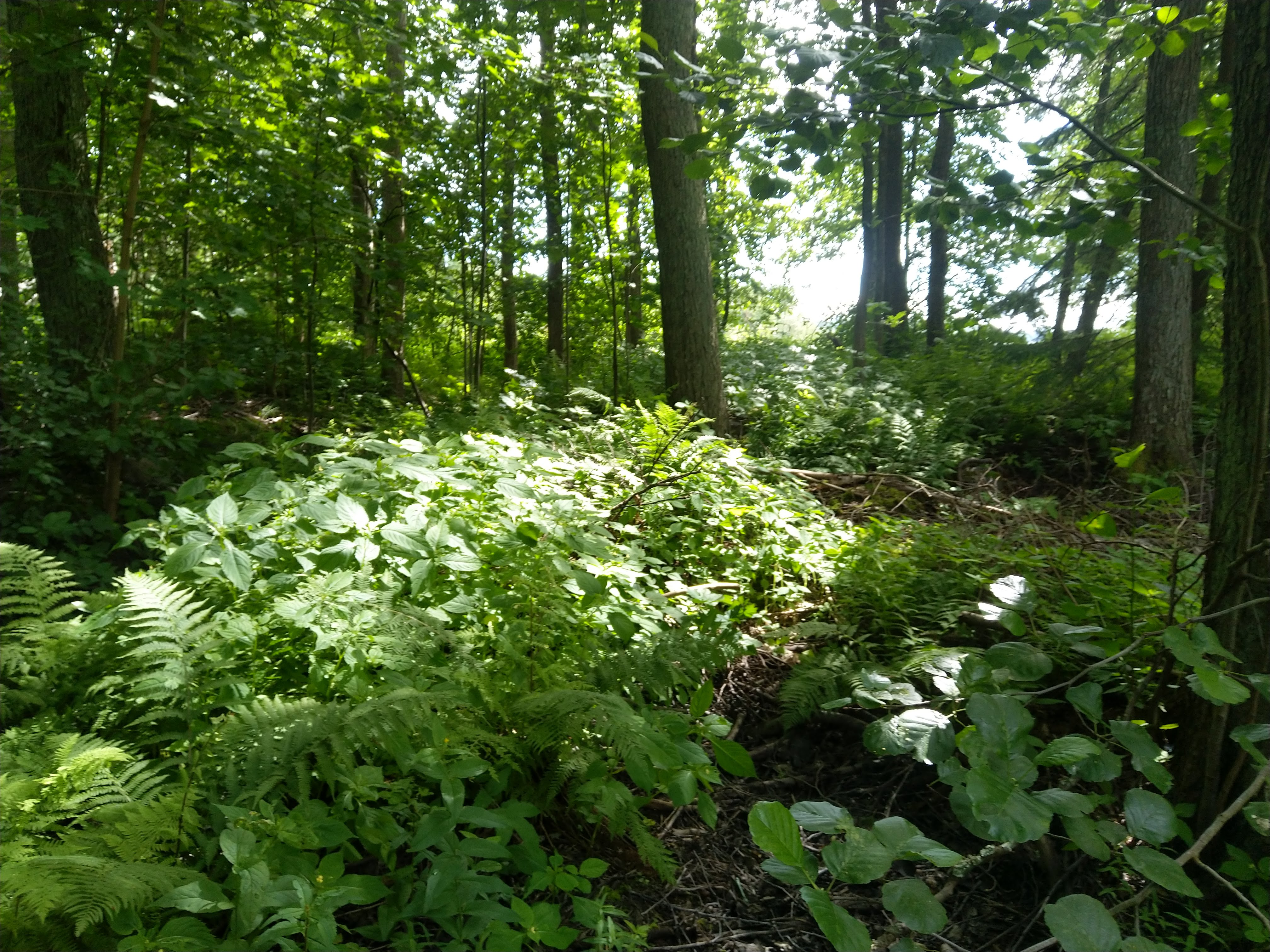 Kuva kohteesta v. 2022