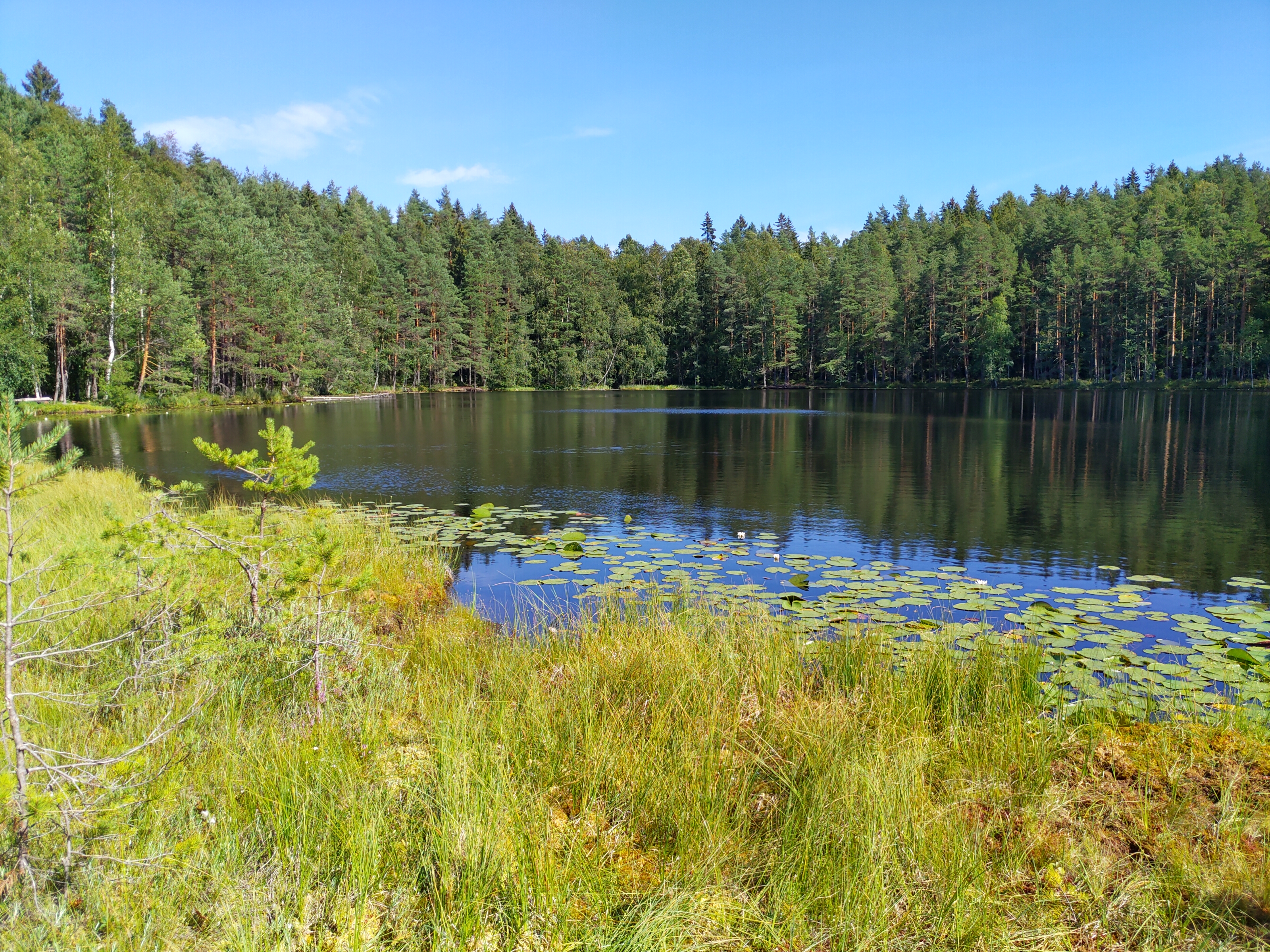 Kuva kohteesta v. 2022